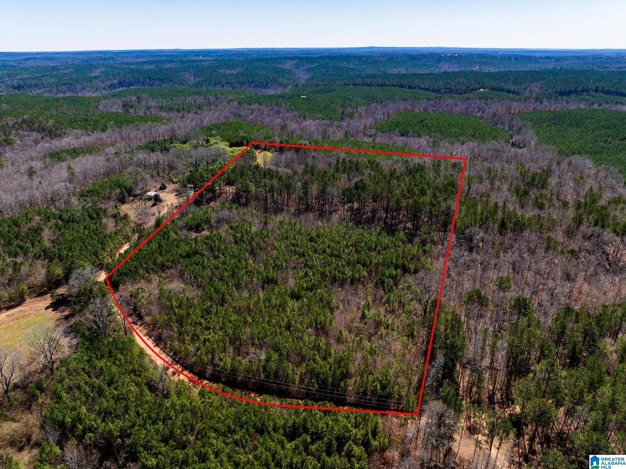 Clanton, AL 35046,0 COUNTY ROAD 788 #0