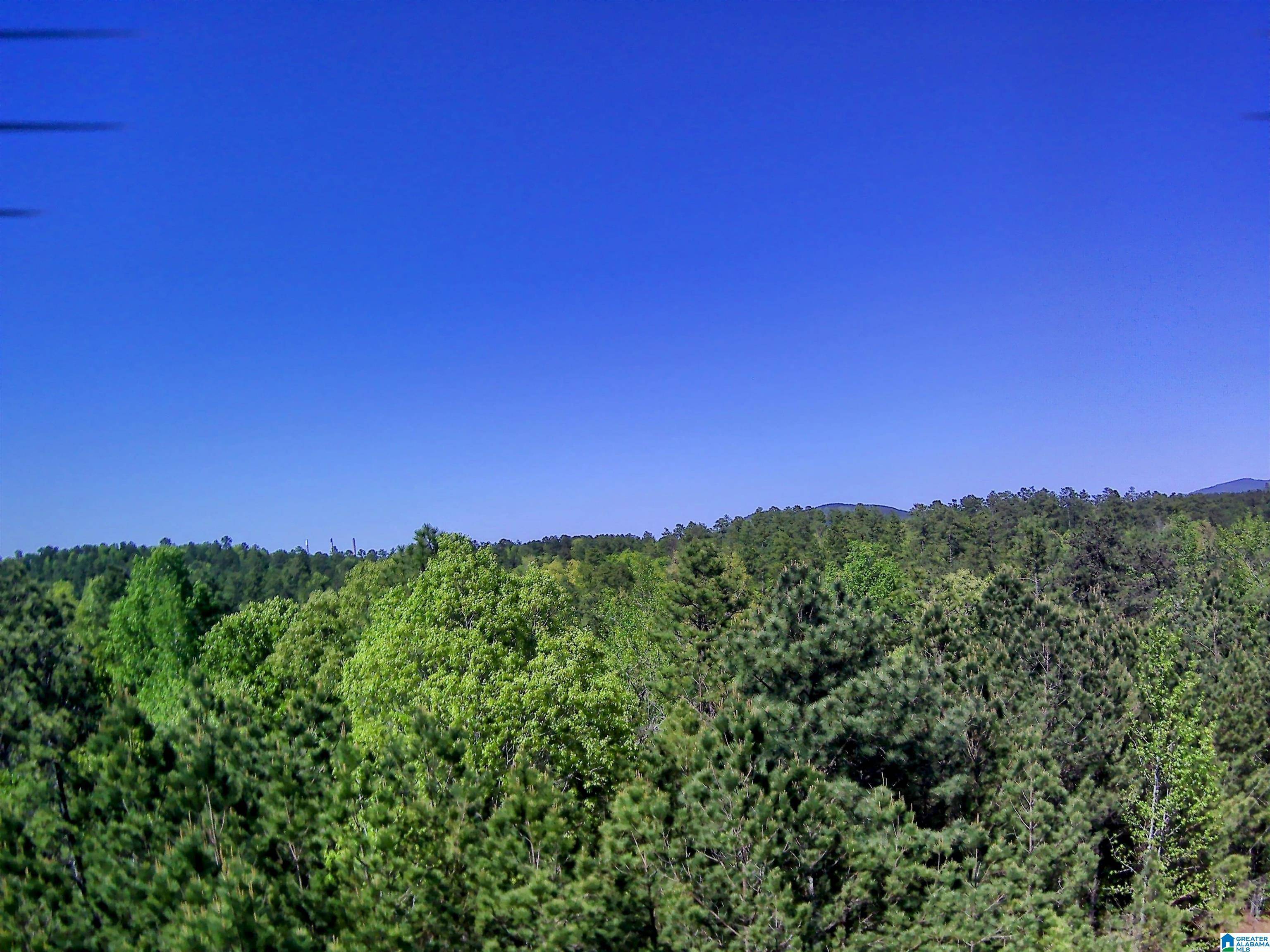 Sylacauga, AL 35151,SHORE SIDE LANE #202