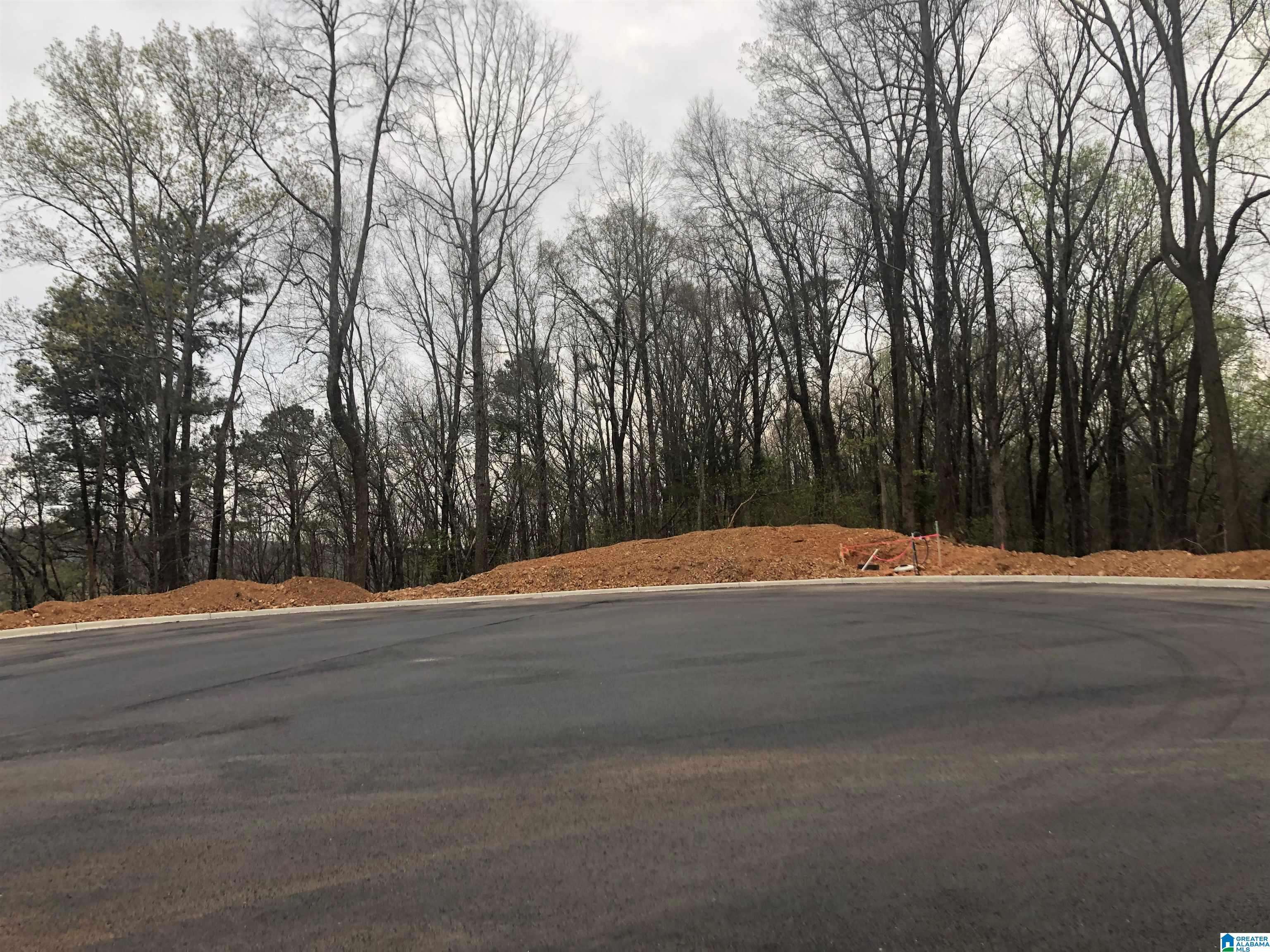 Birmingham, AL 35242,EAGLE POINT DRIVE #One Parcel