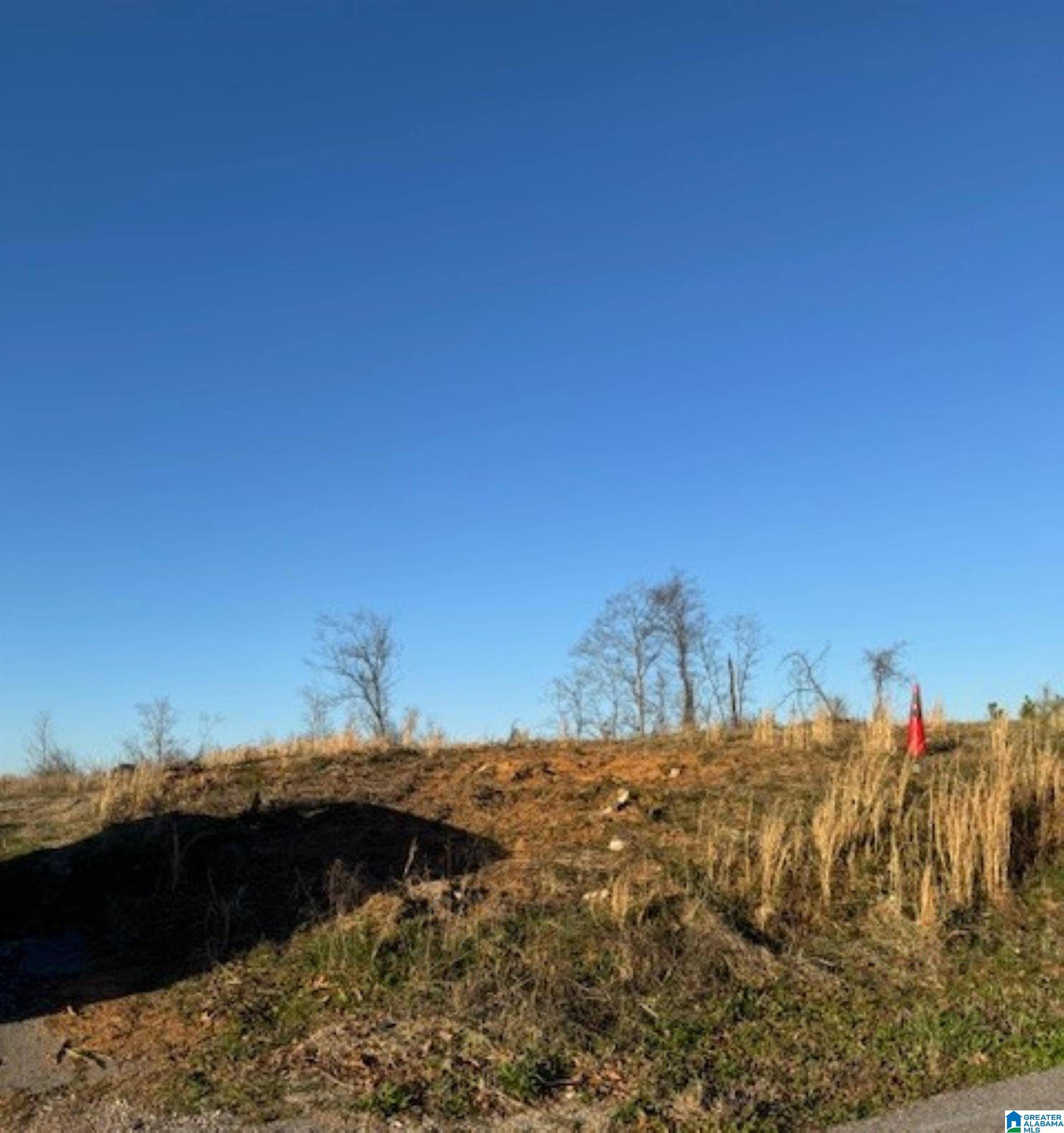 Fultondale, AL 35068,801 LYKES BOULEVARD #1