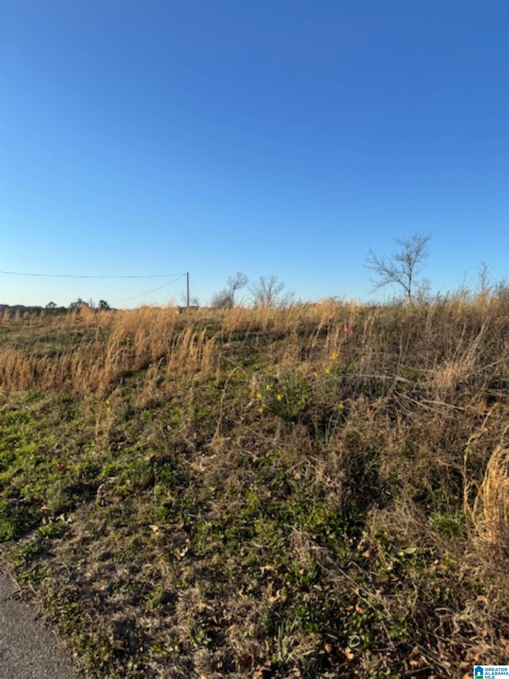 Fultondale, AL 35068,801 LYKES BOULEVARD #1