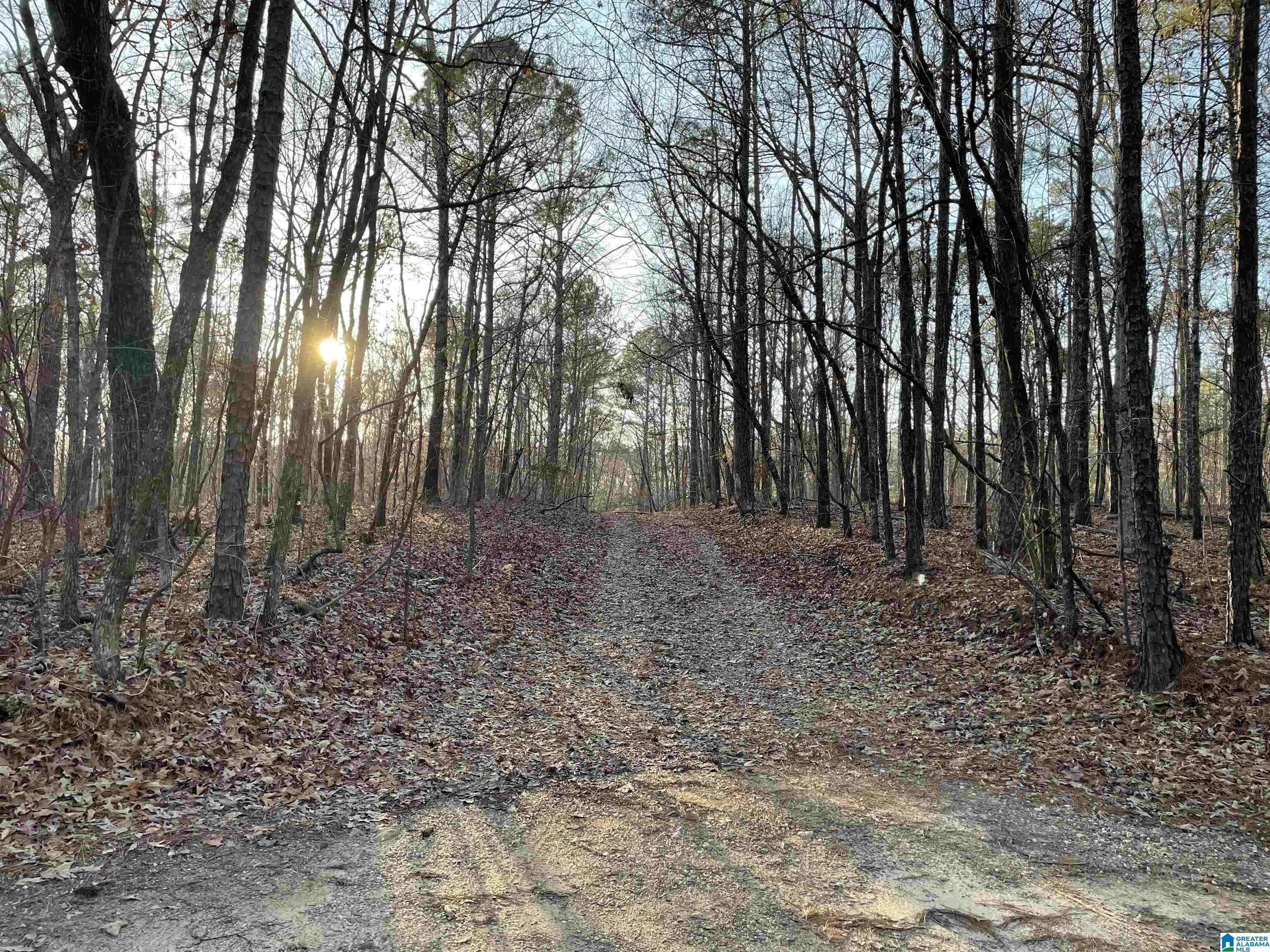 Dadeville, AL 36853,Lot 43 BEACH ISLAND TRACE #43