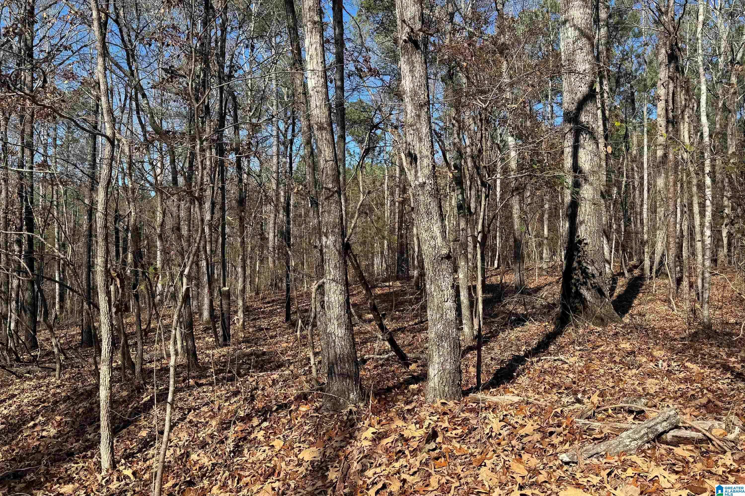 Dadeville, AL 36853,Lot 44 BEACH ISLAND TRACE #44