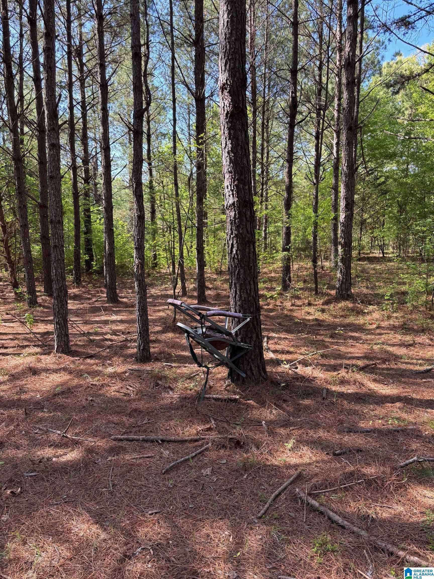 Munford, AL 36268,1401 COBB ROAD #7