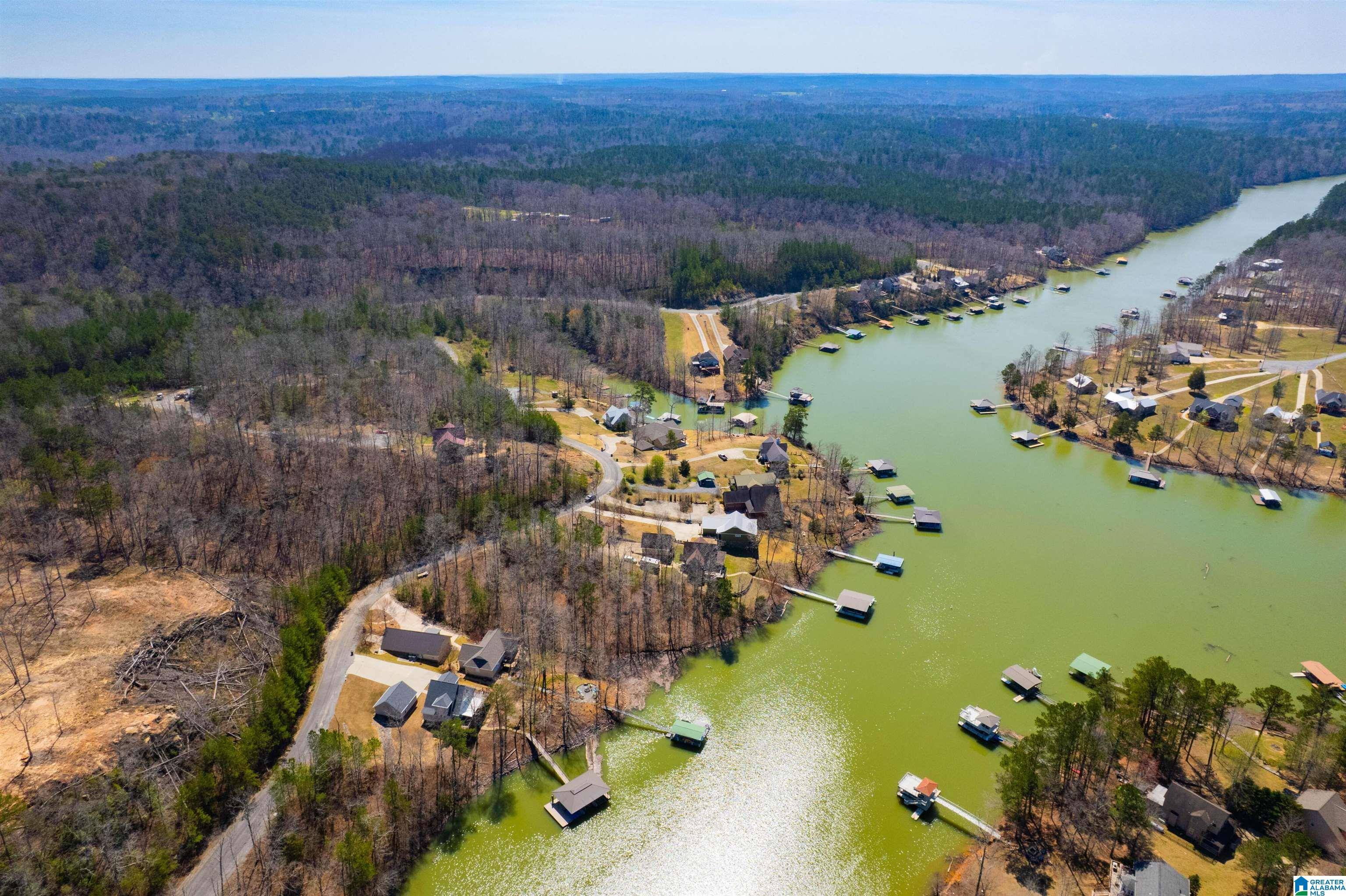Double Springs, AL 35553,0 LAKEVIEW LANE #0