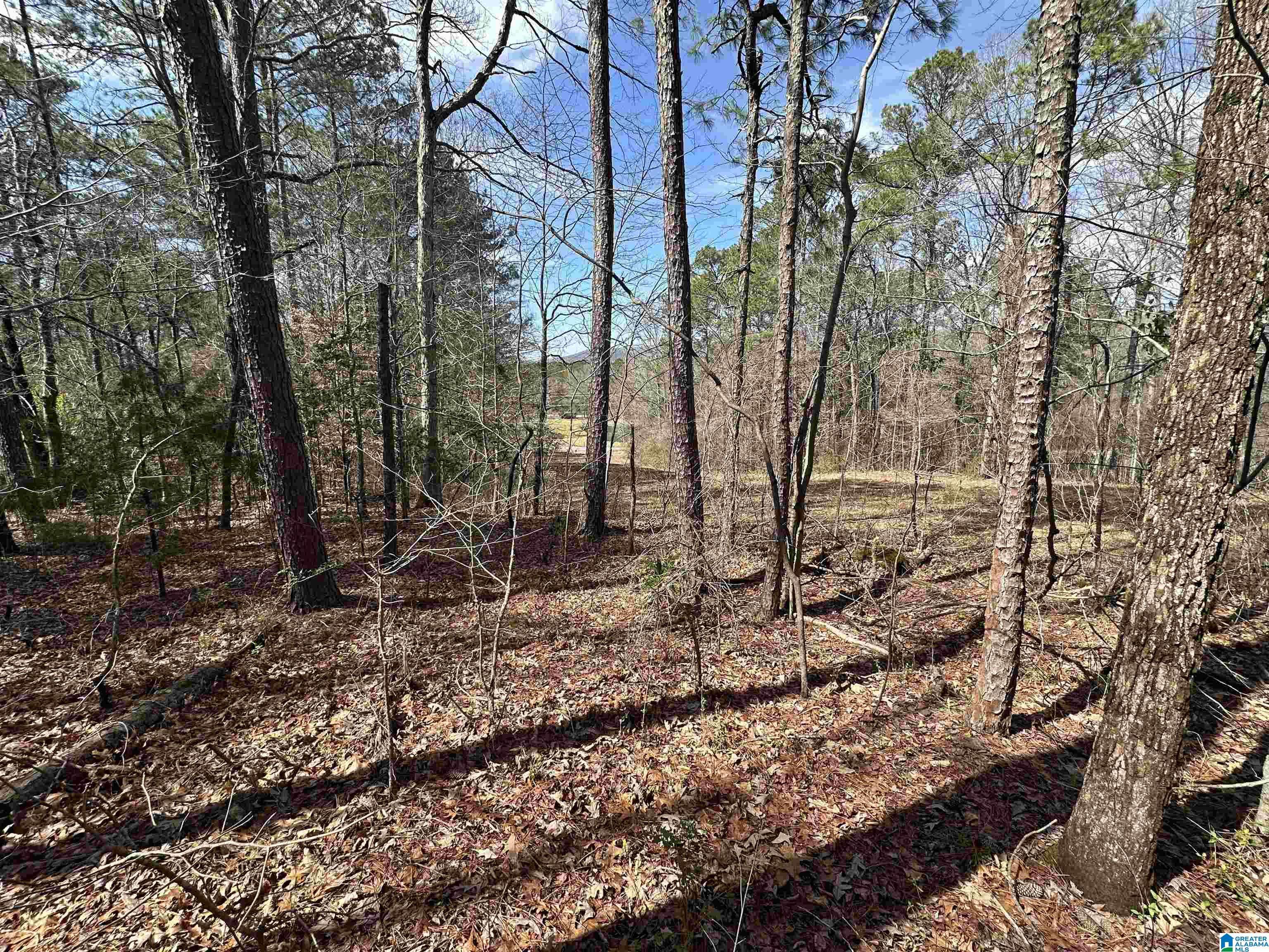 Anniston, AL 36207,0 DEARMANVILLE ROAD #1