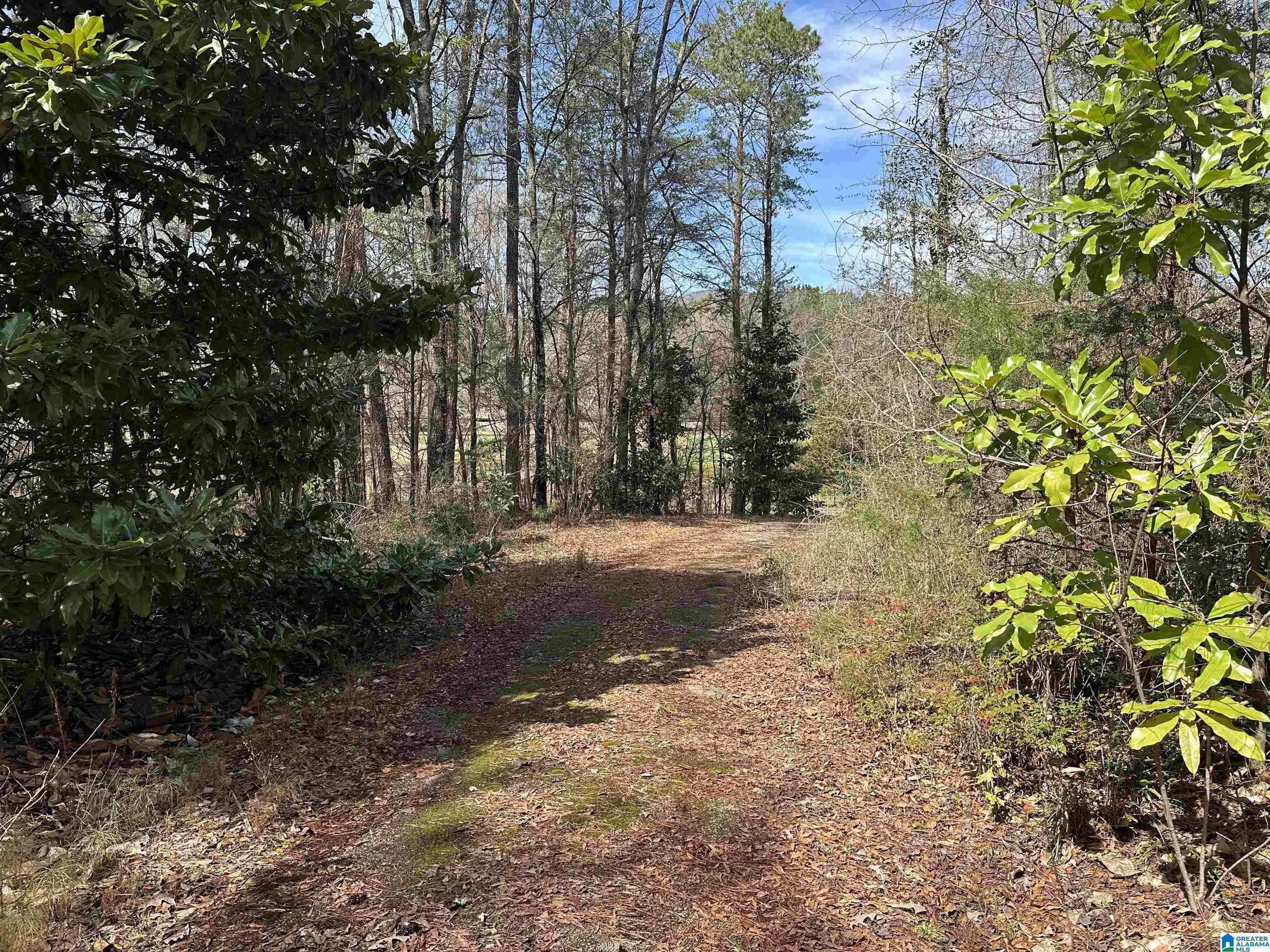 Anniston, AL 36207,0 DEARMANVILLE ROAD #1