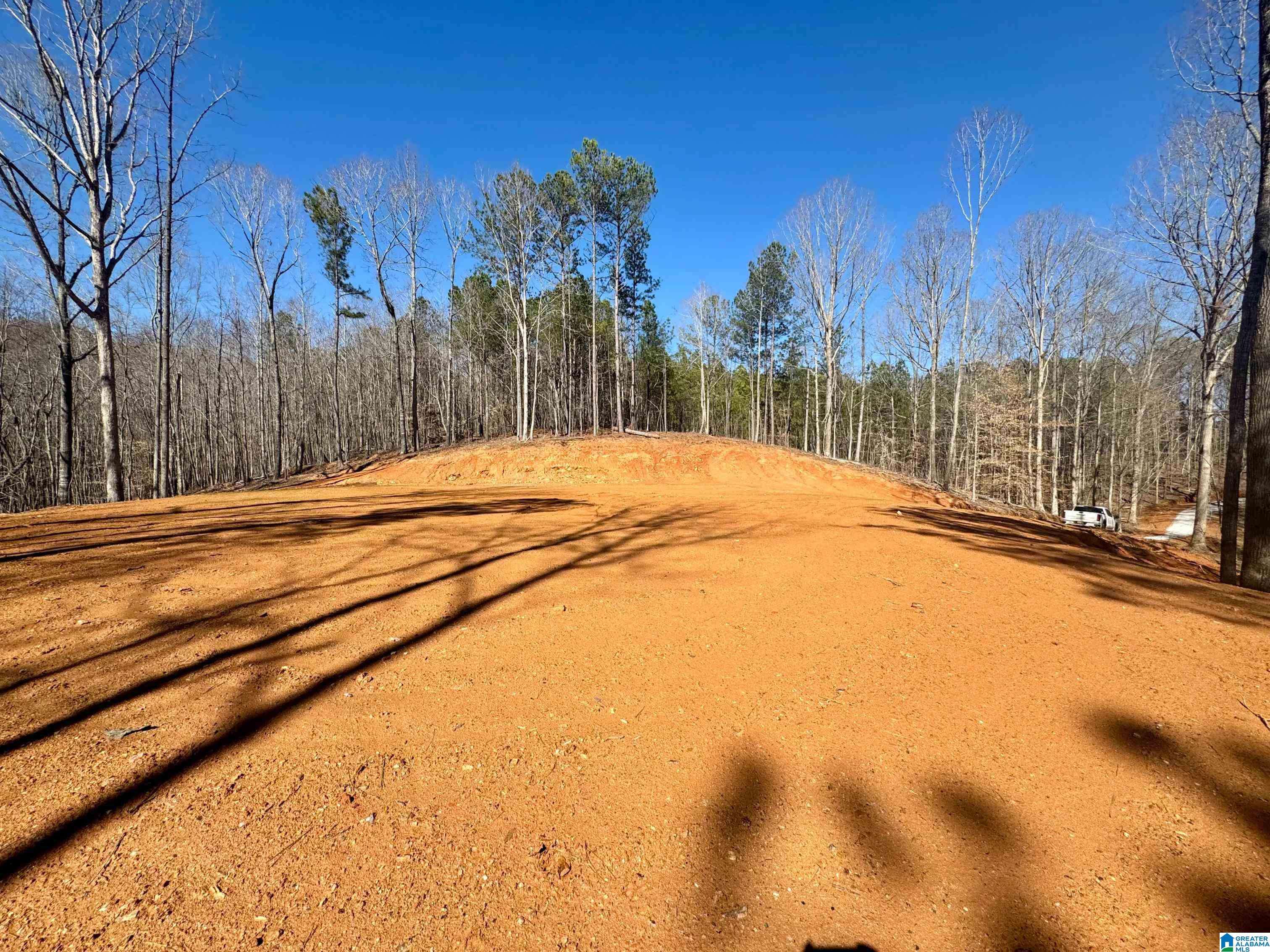 Roanoke, AL 36274,0 COUNTY ROAD 61 #5+- acres