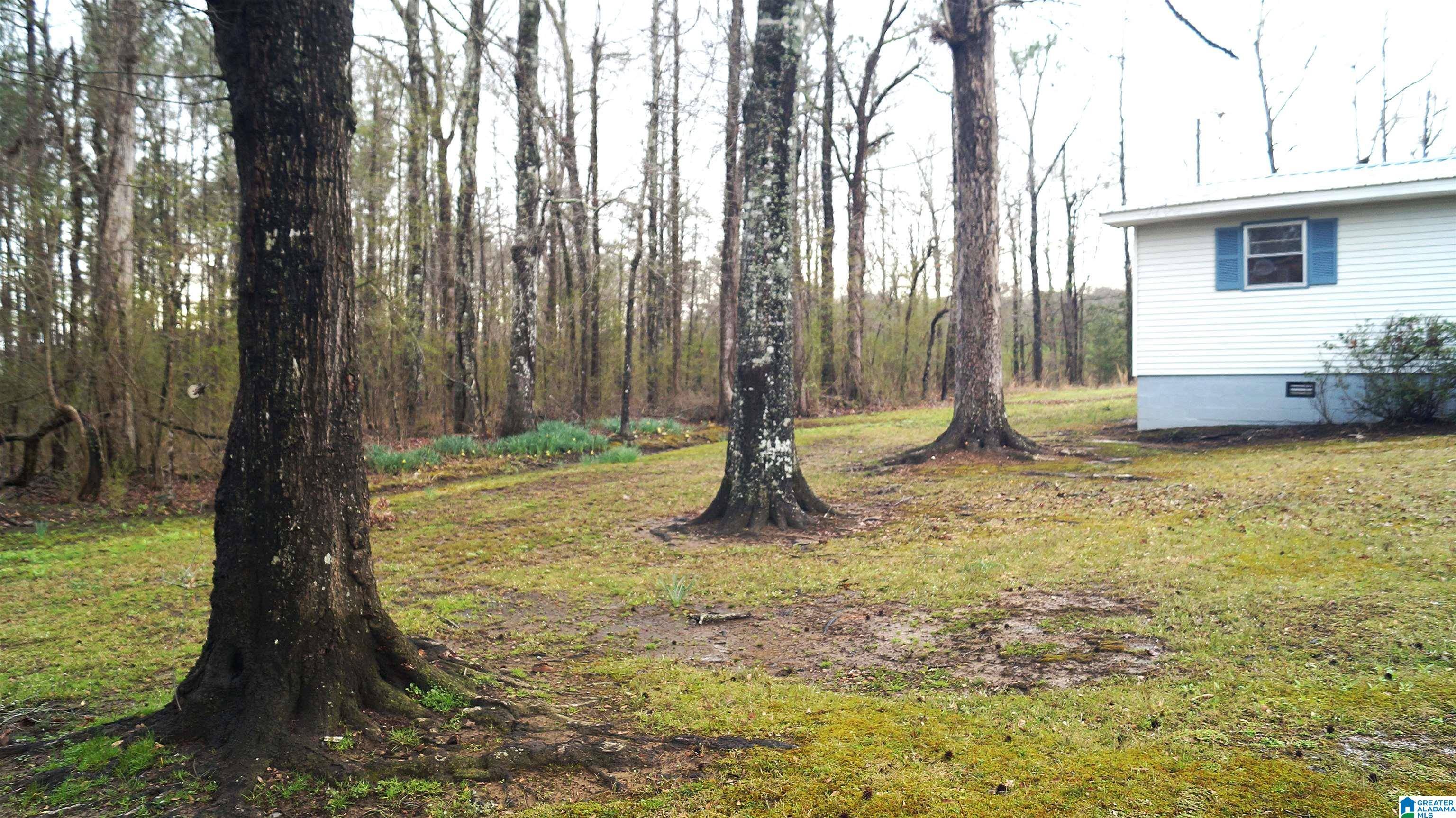 Calera, AL 35040,9240 US HIGHWAY 31