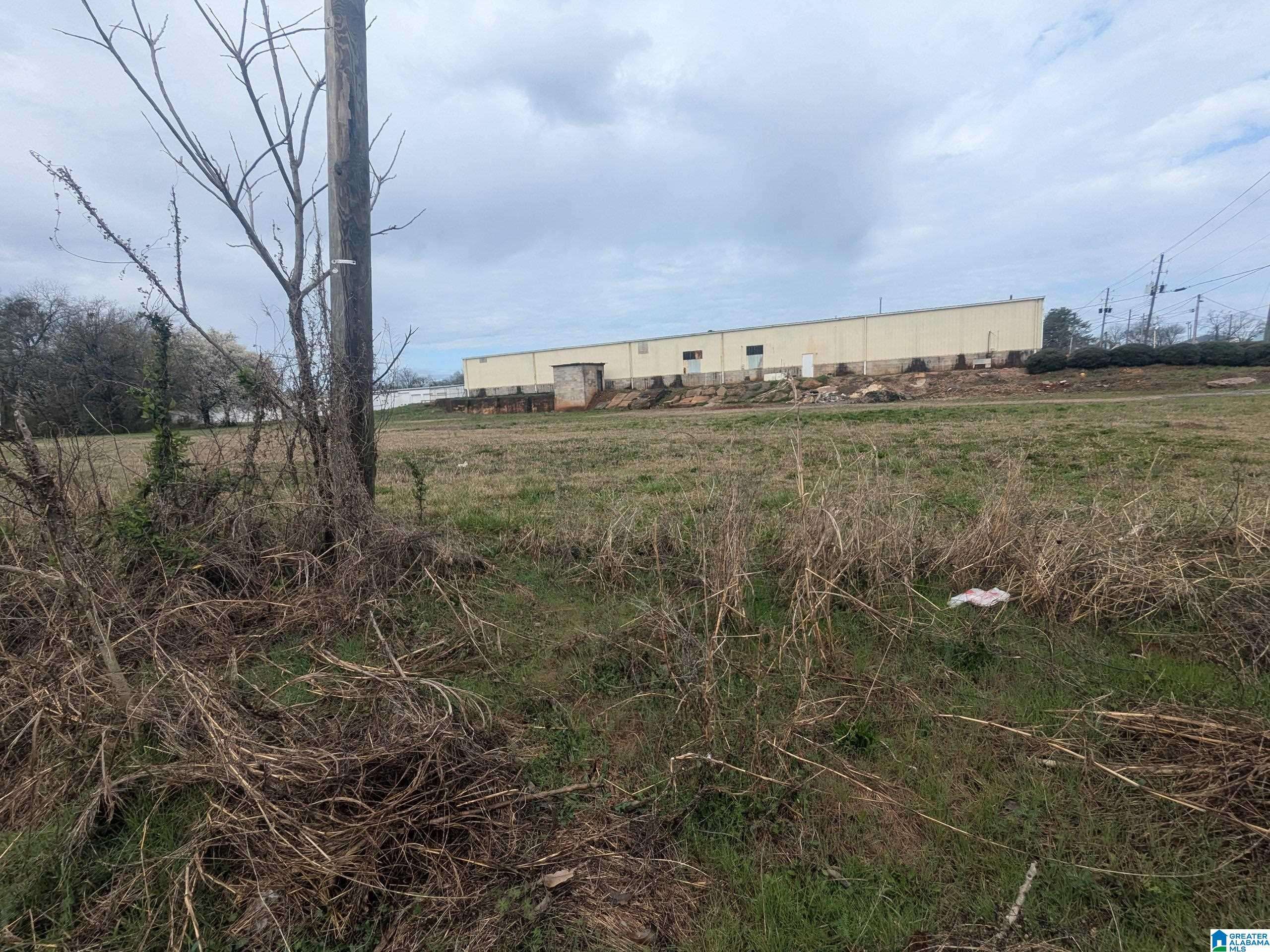 Talladega, AL 35160,210 TINNEY STREET S