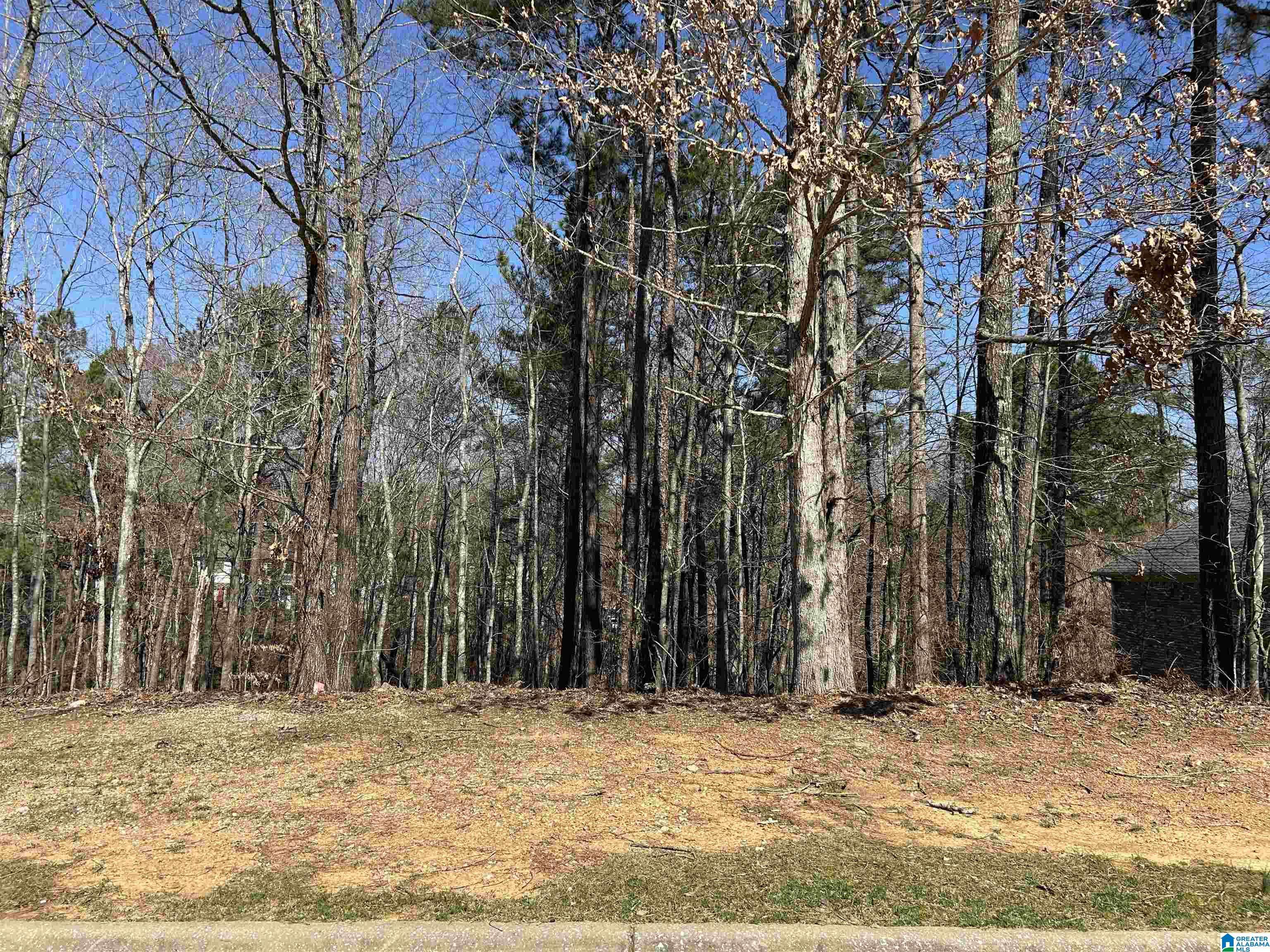 Chelsea, AL 35043,200 OAKLYN HILLS DRIVE #81
