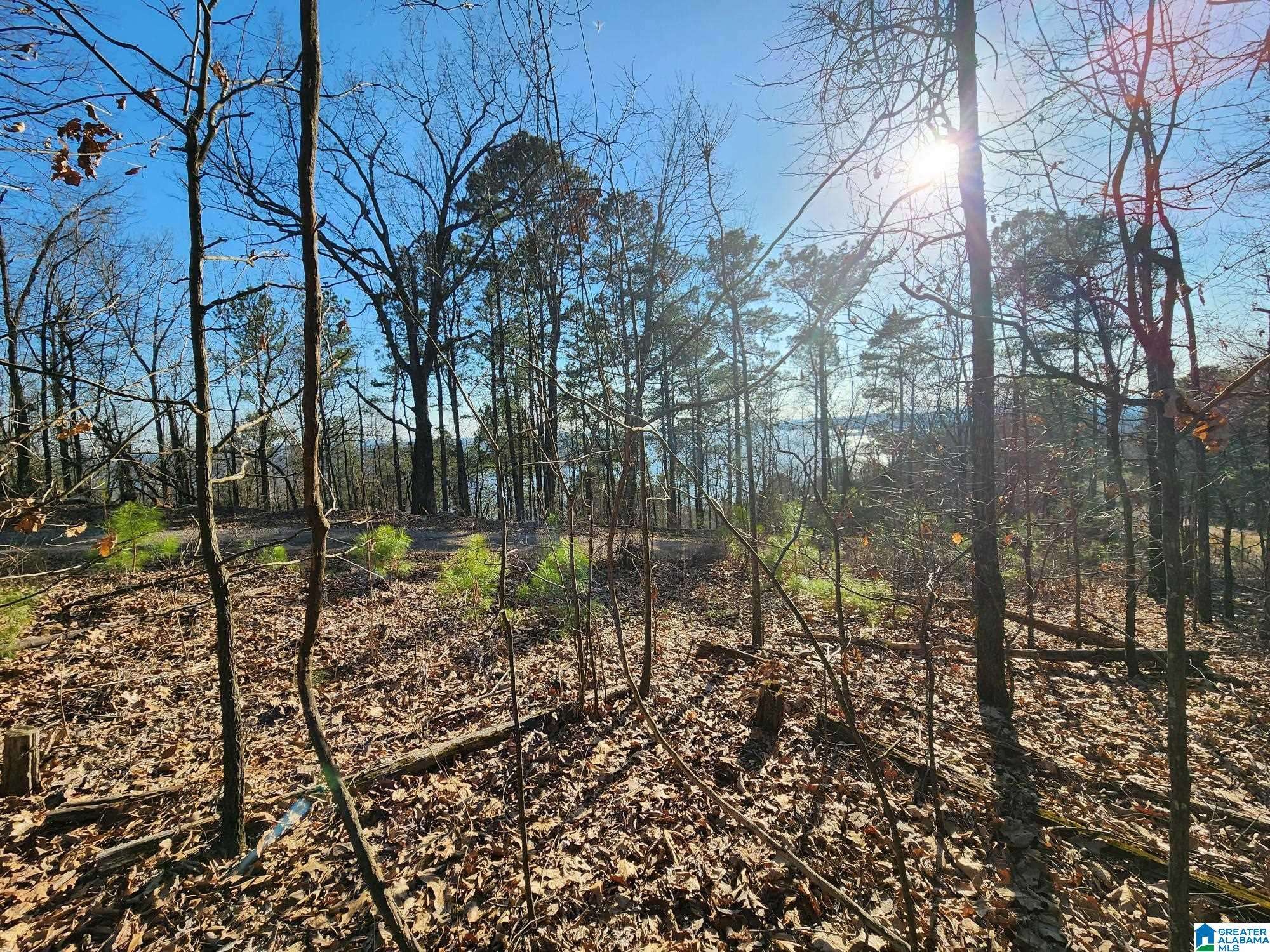 Talladega, AL 35160,Lot 349 CANYON DRIVE #349
