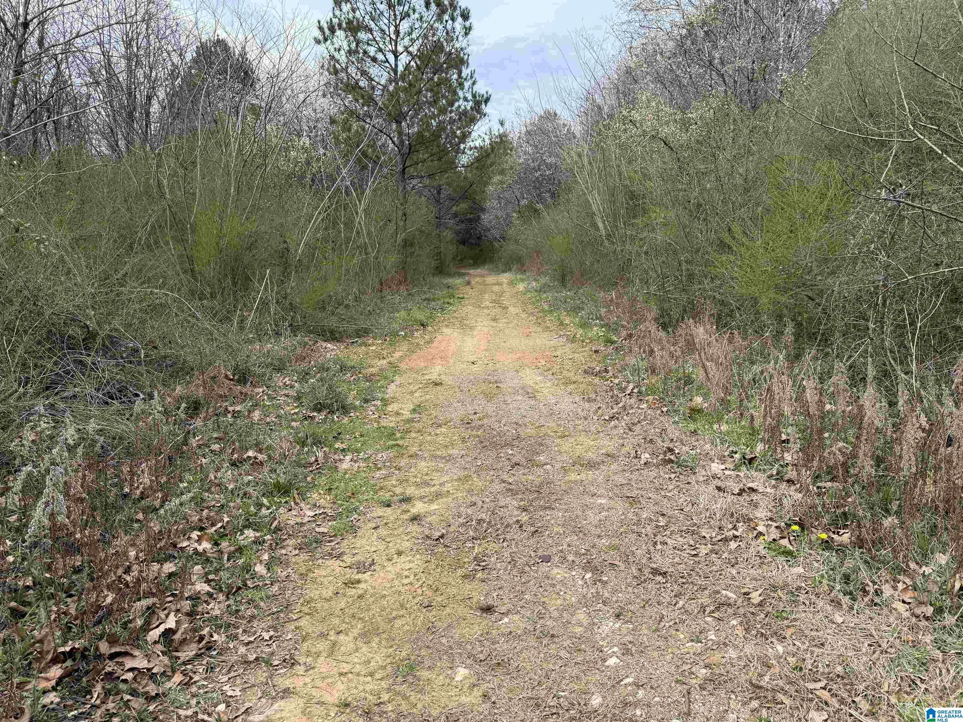 Sylacauga, AL 35150,0 WALLACE STREET #1