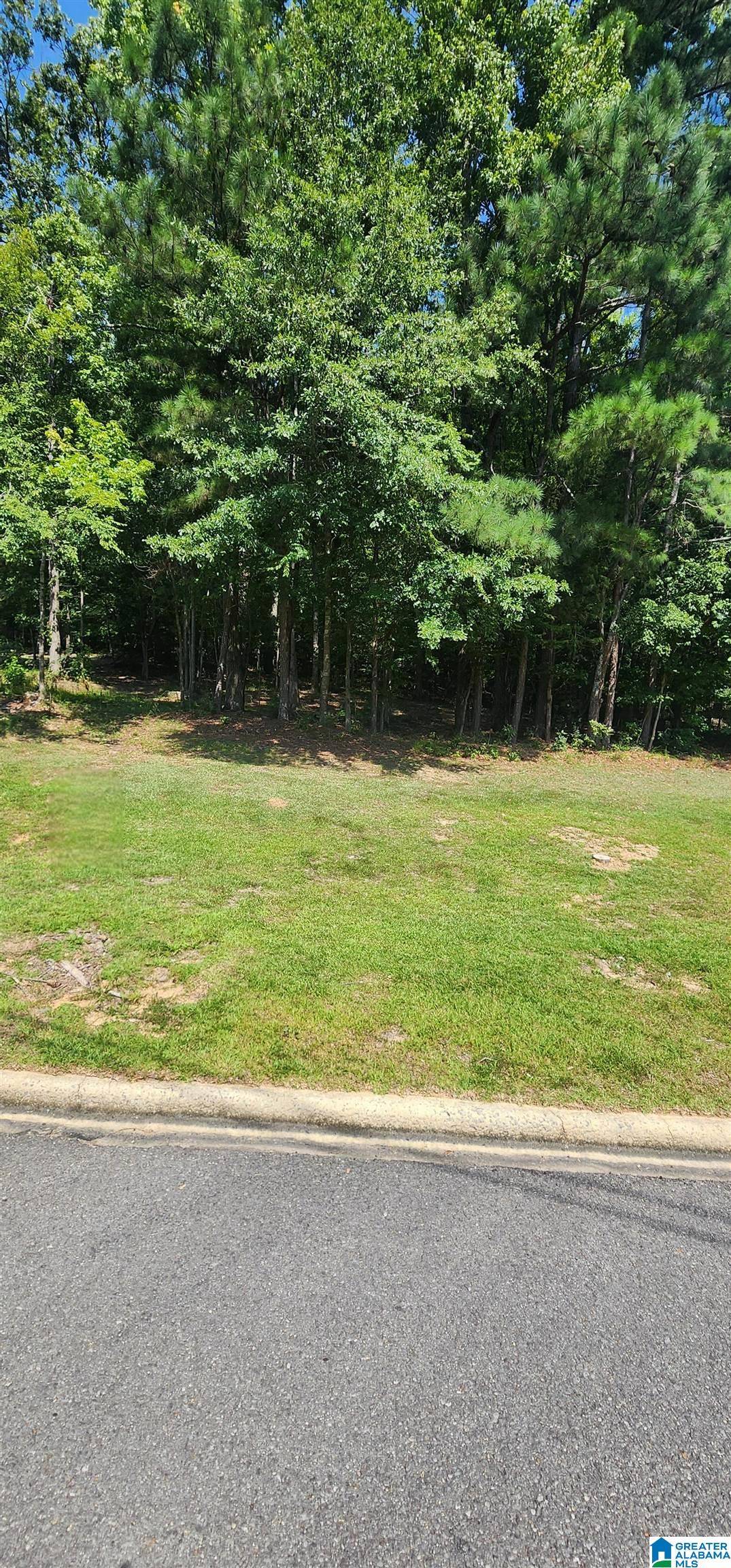 Oneonta, AL 35121,0 QUAIL RIDGE ROAD #0