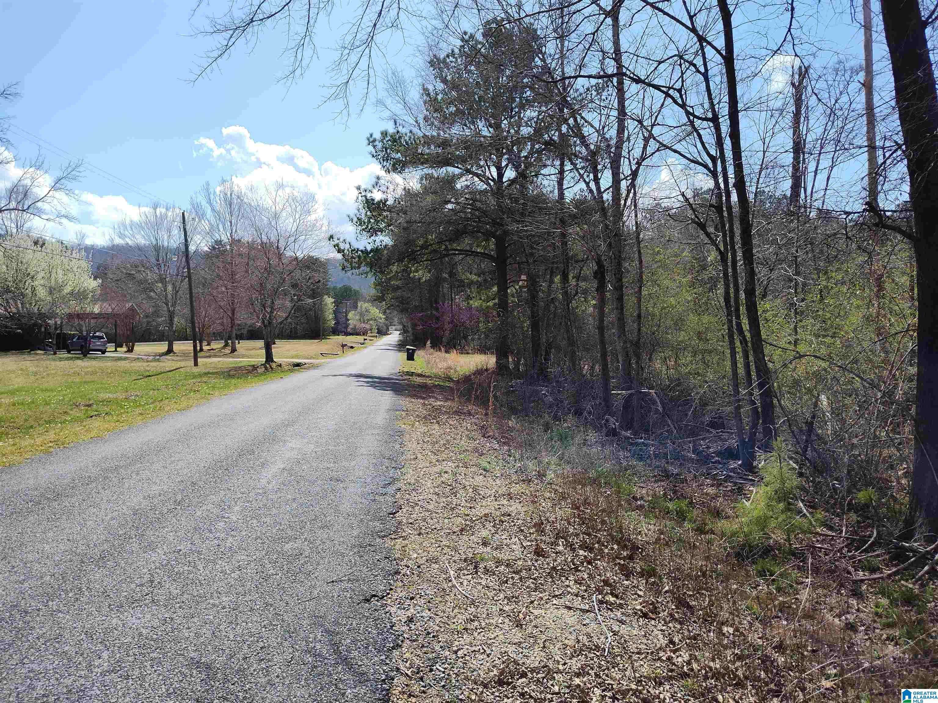 Sylacauga, AL 35150,0 MEADOW CIRCLE #0