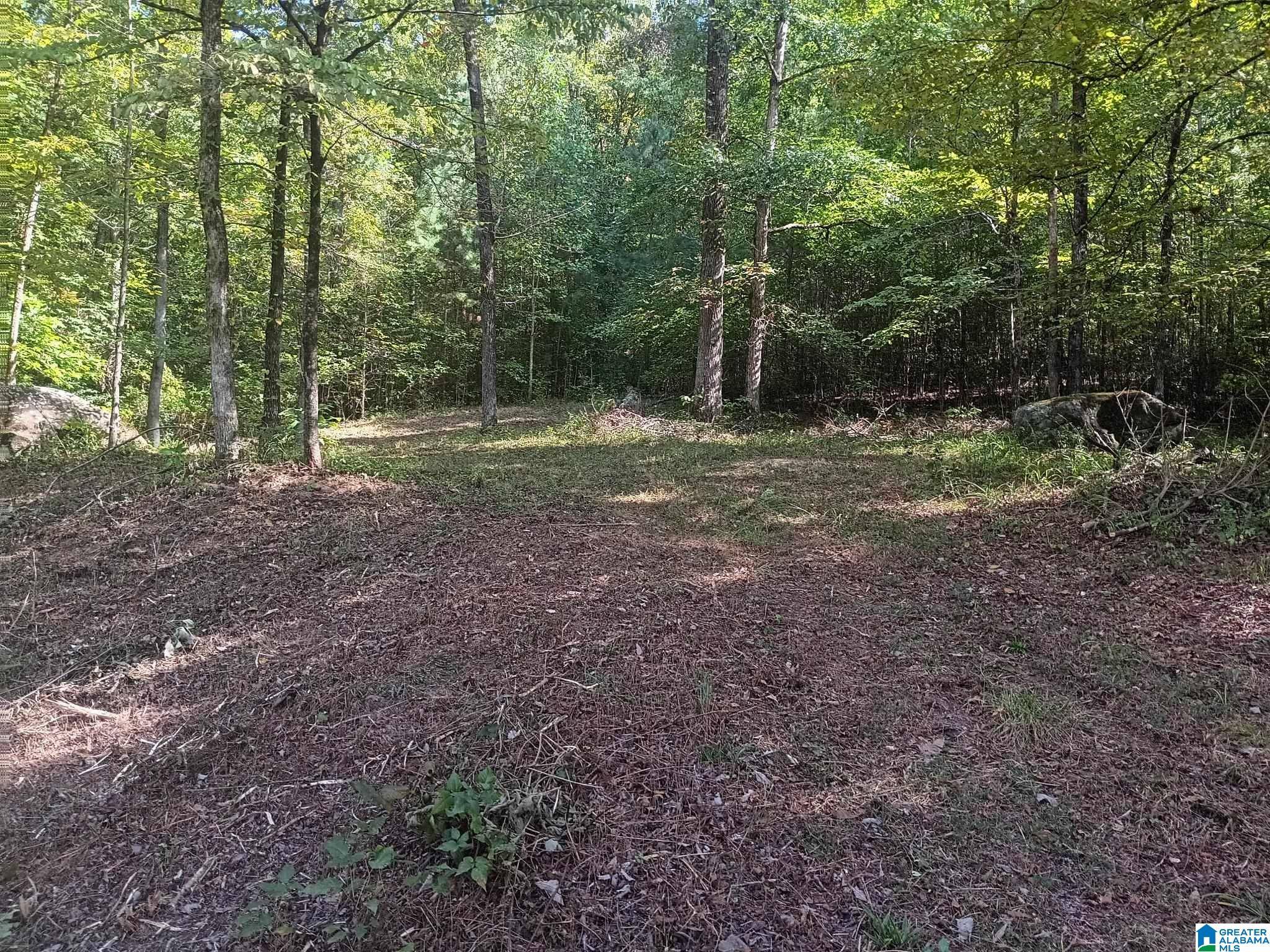 Warrior, AL 35180,0 VALLEY CIRCLE #579
