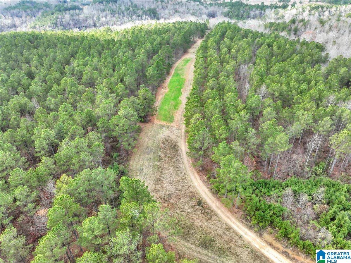 Cullman, AL 35057,370 COUNTY ROAD 77 #1