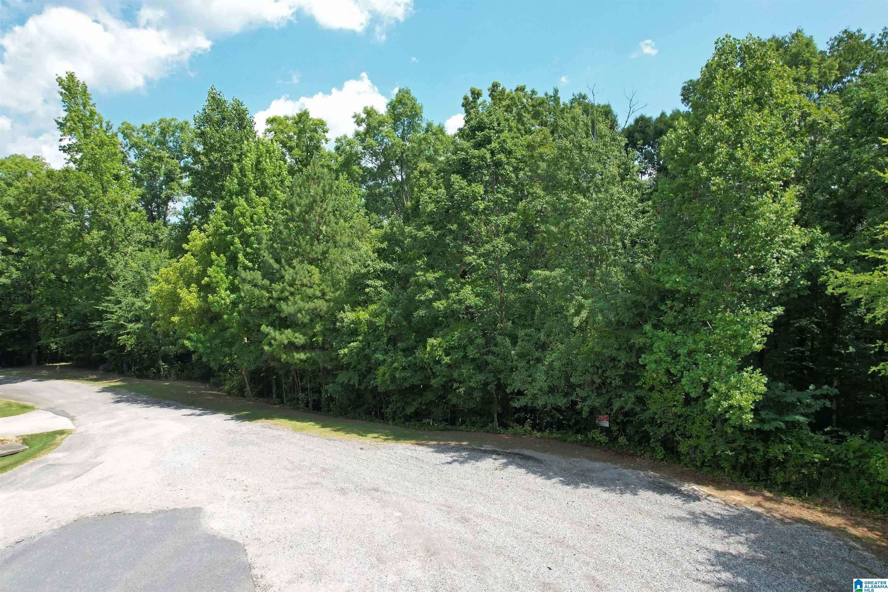 Harpersville, AL 35078,0 WEATHERTON TRAIL #4