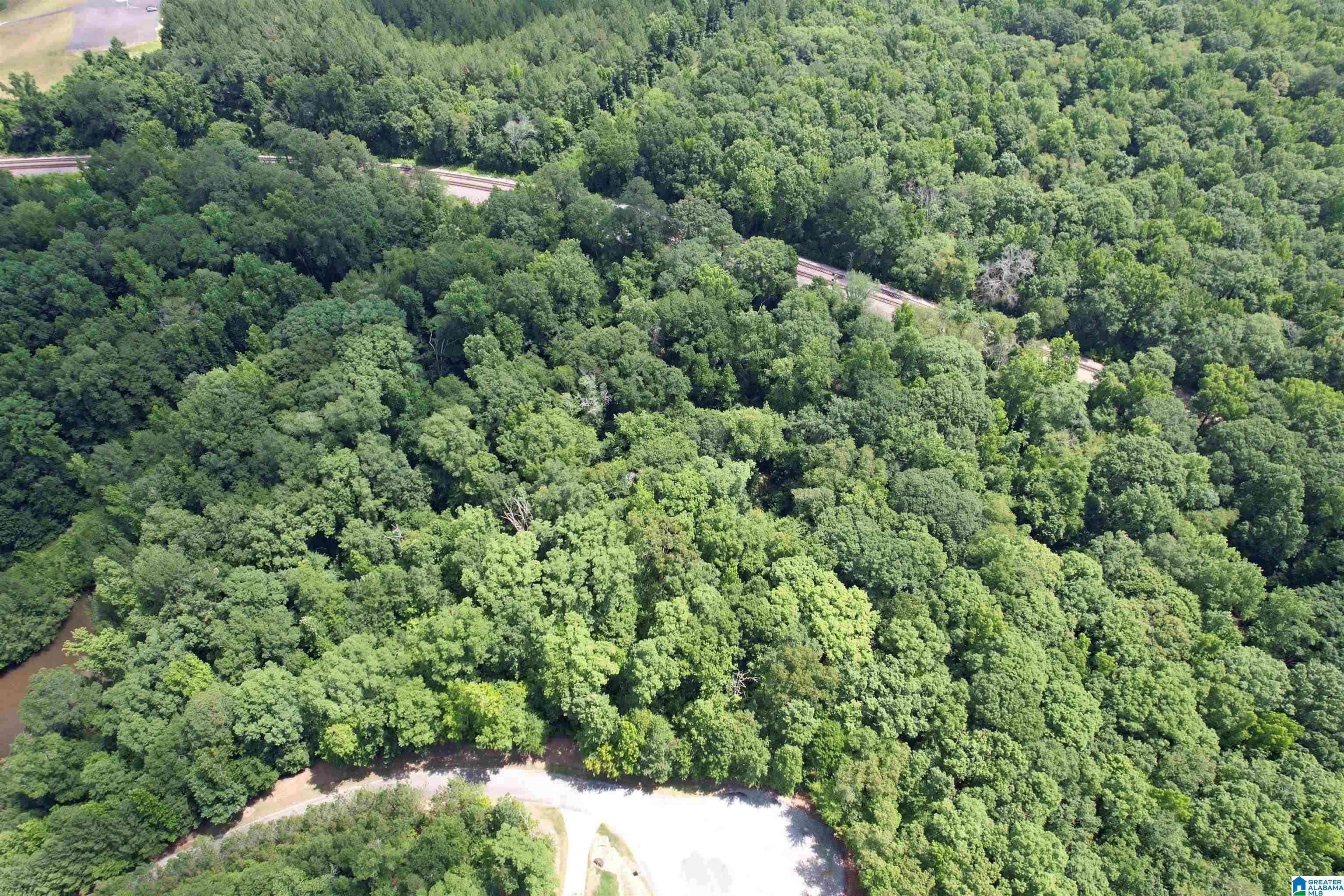 Harpersville, AL 35078,0 WEATHERTON TRAIL #4