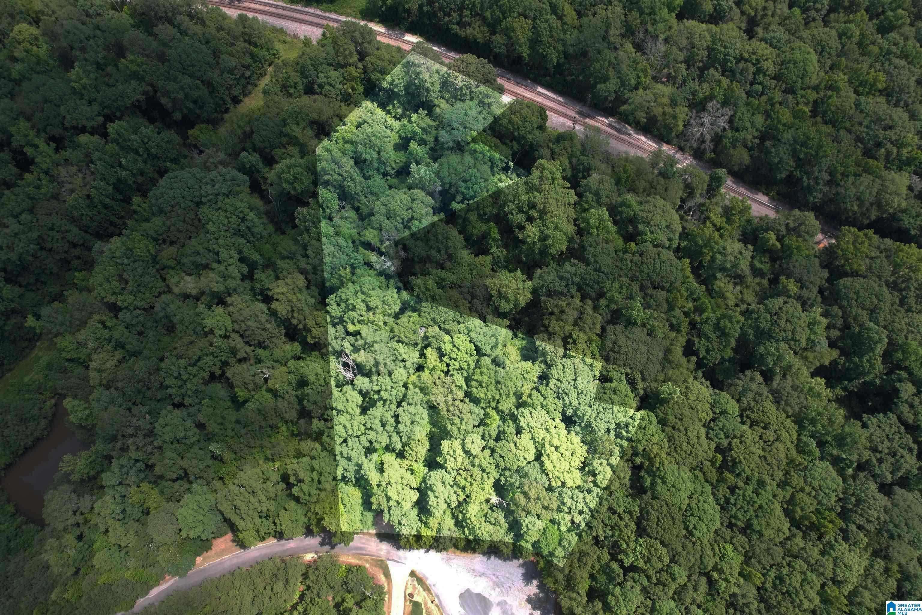 Harpersville, AL 35078,0 WEATHERTON TRAIL #4