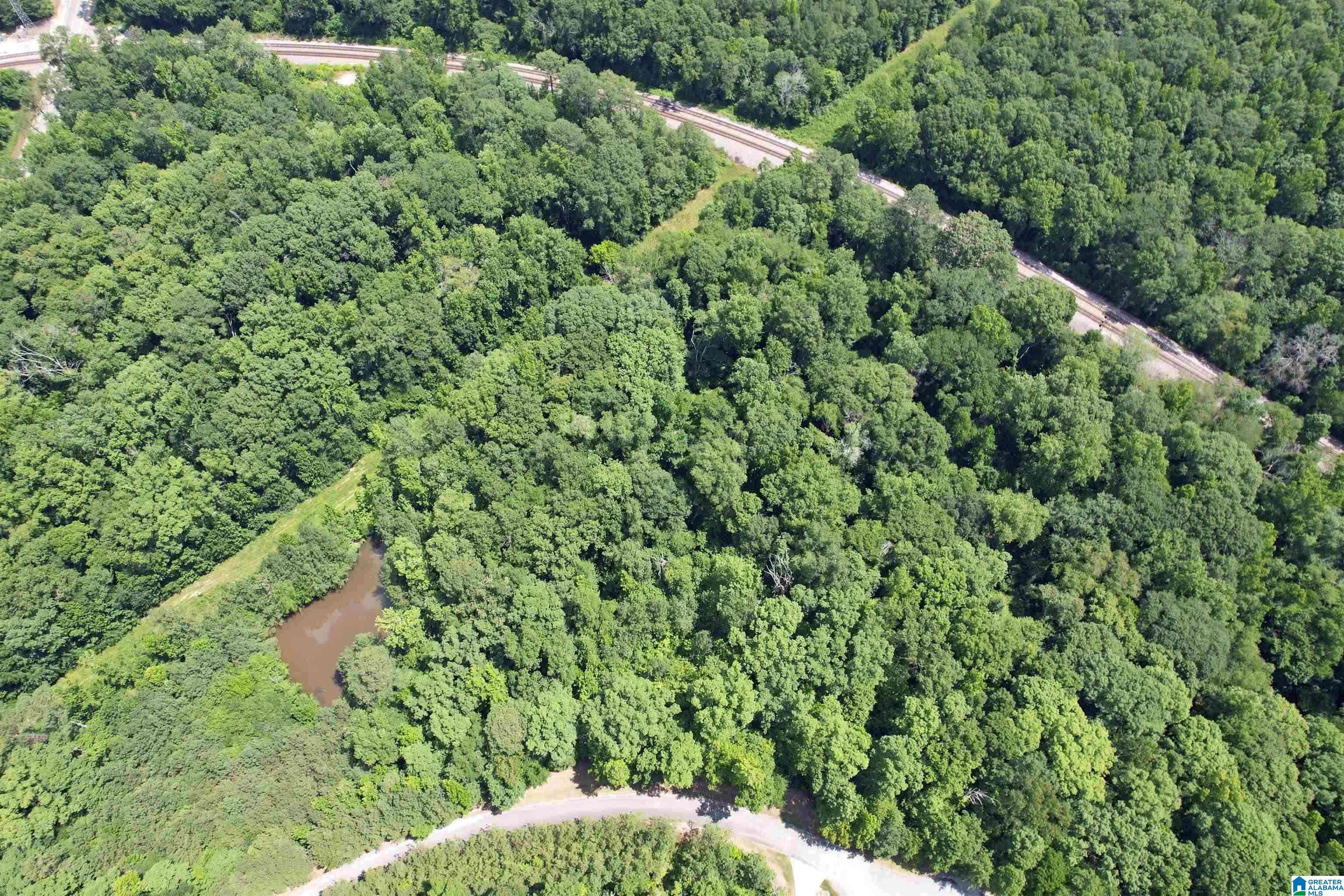 Harpersville, AL 35078,0 WEATHERTON TRAIL #3