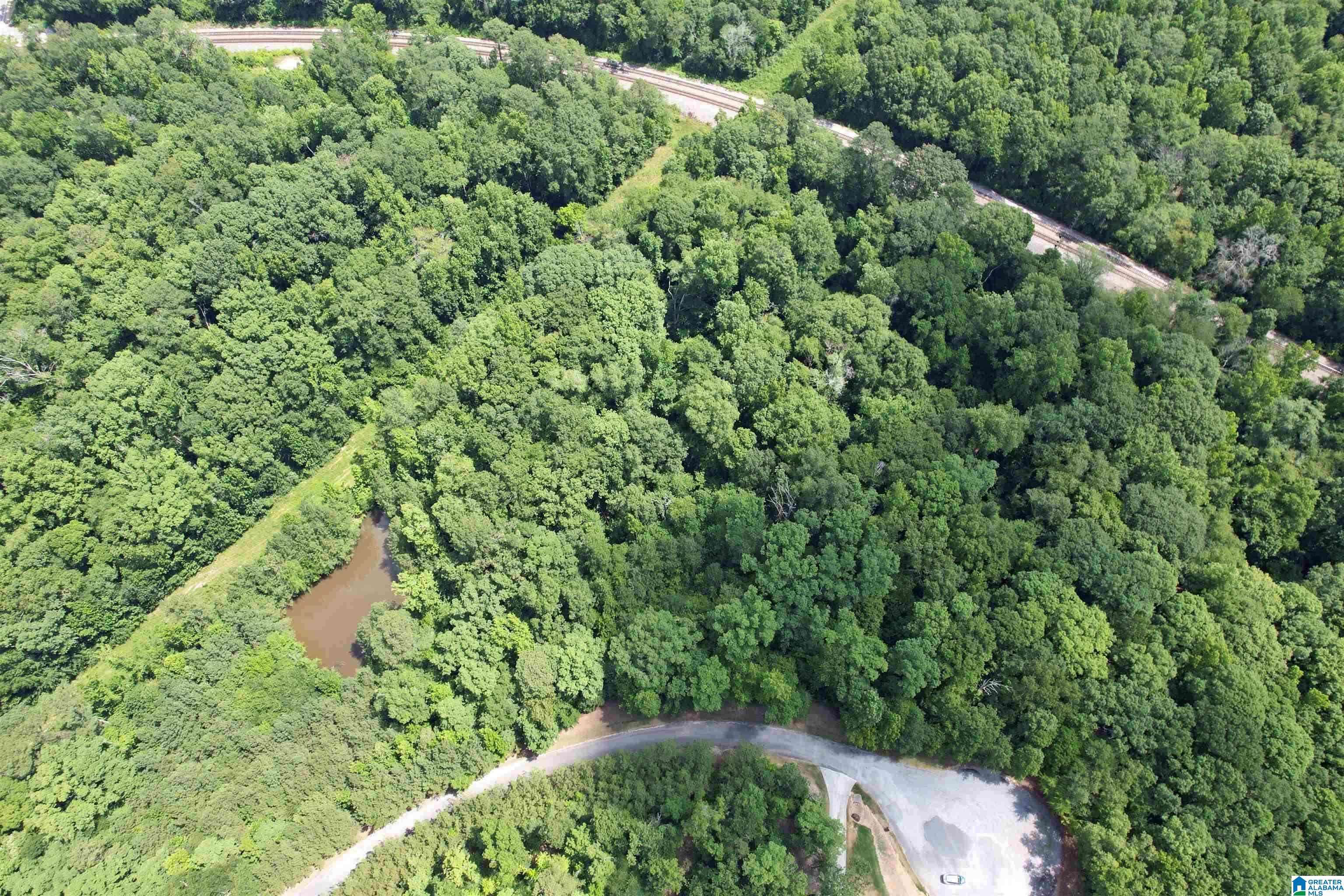 Harpersville, AL 35078,0 WEATHERTON TRAIL #3