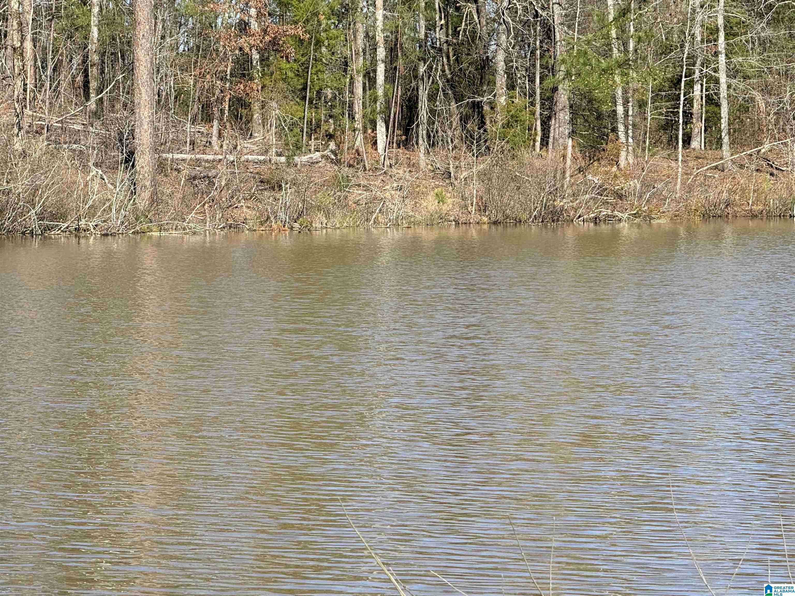 Montevallo, AL 35115,1080 COUNTY ROAD 46 #1