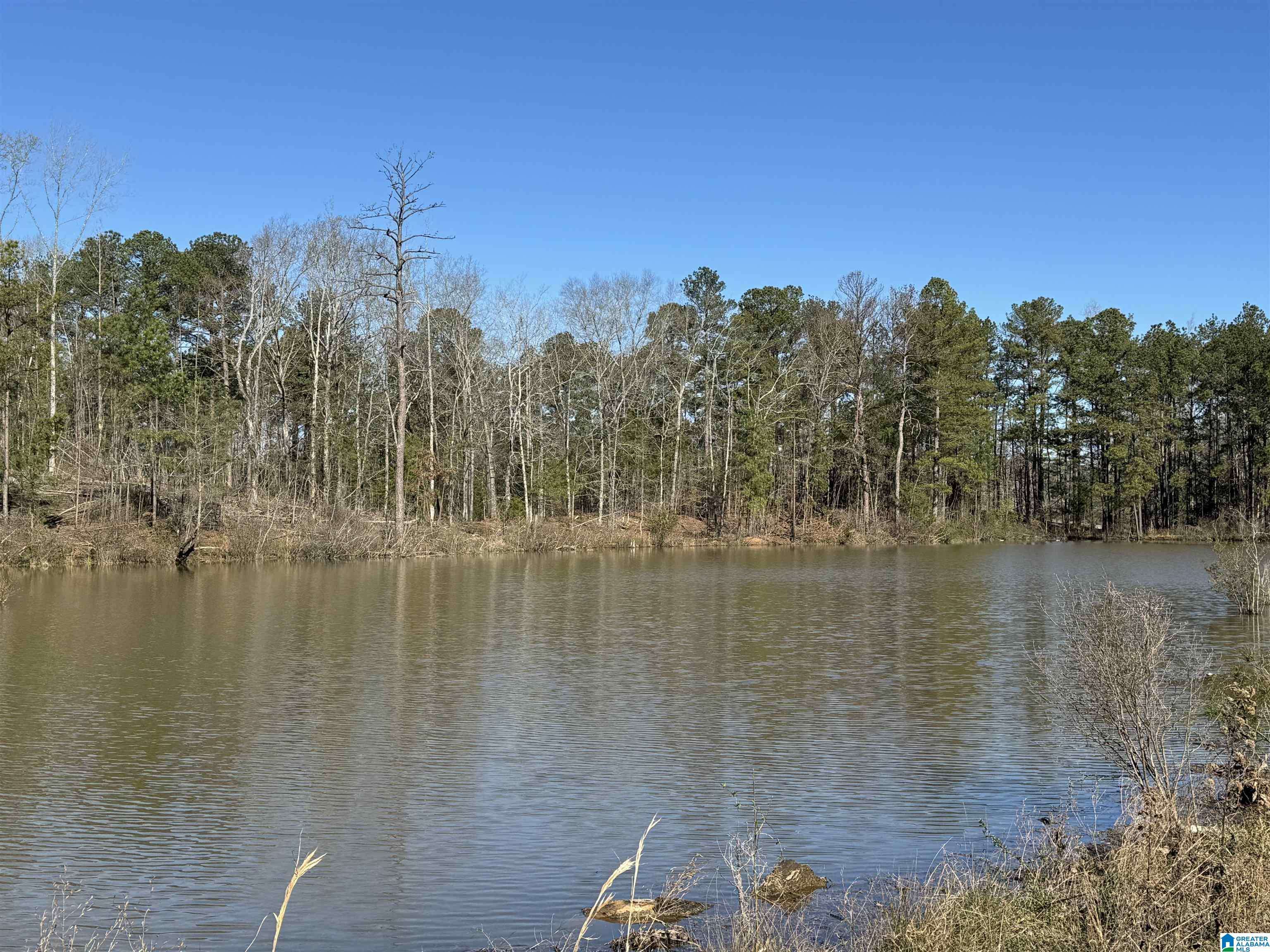 Montevallo, AL 35115,1080 COUNTY ROAD 46 #1