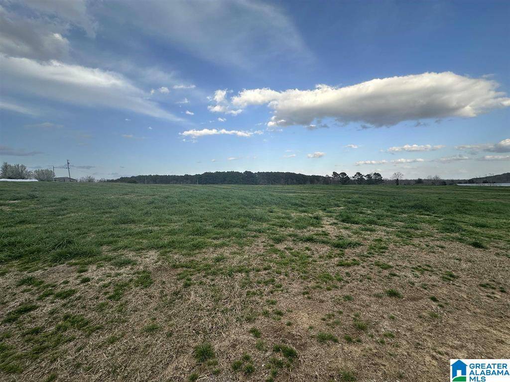 Vinemont, AL 35179,296 COUNTY ROAD 1046 #n/a