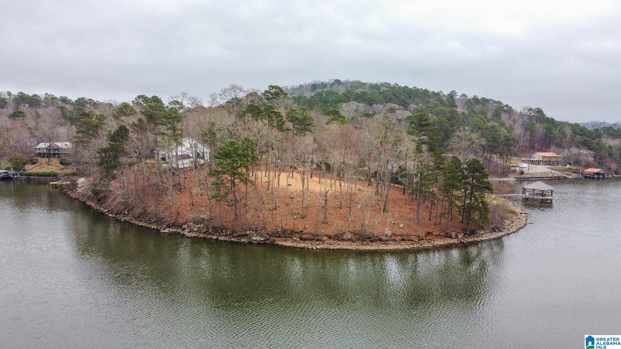 Talladega, AL 35160,LAKE RIDGE POINT #17