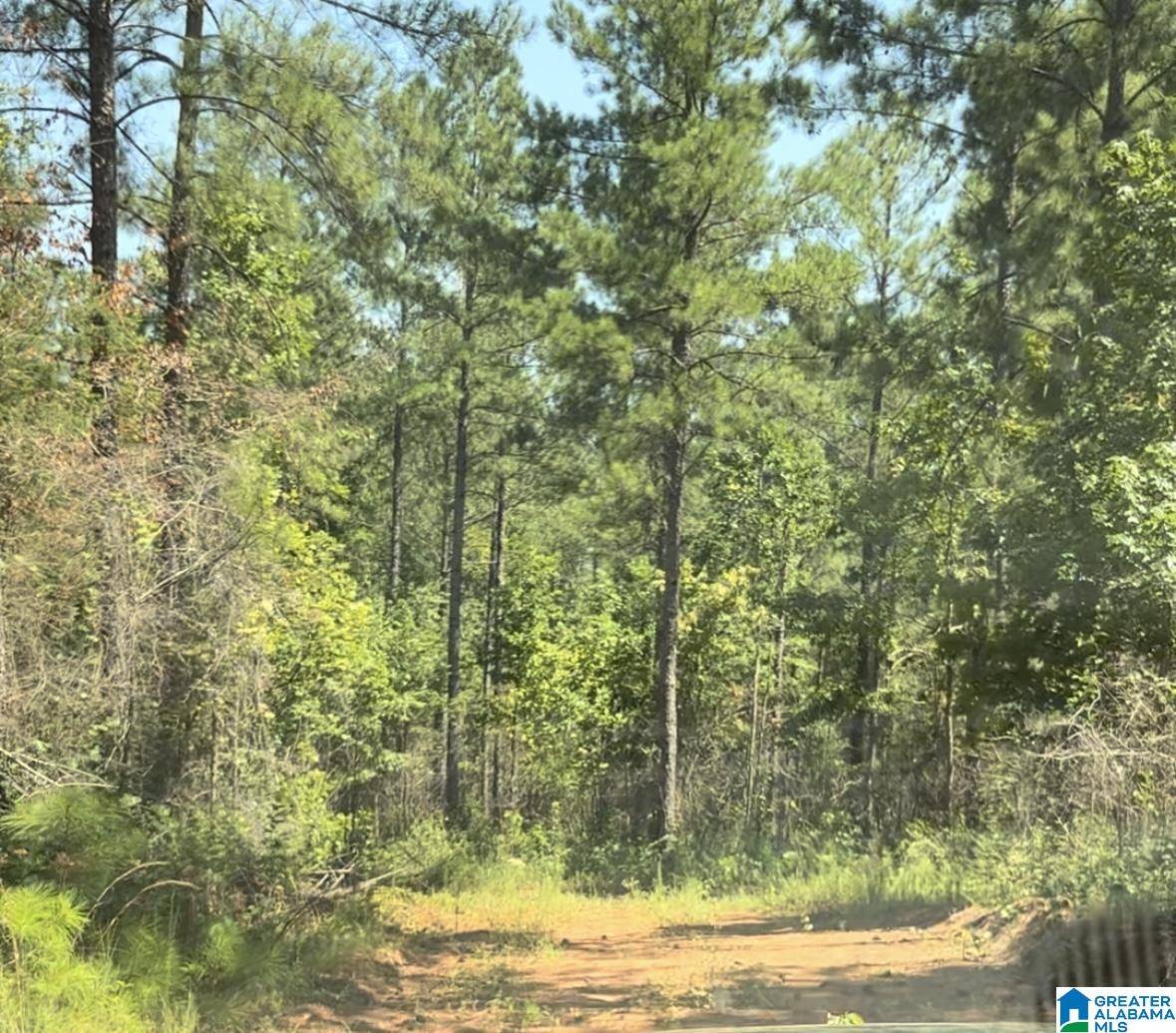 Wadley, AL 36276,COUNTY ROAD 831 #Tract #3 30± AC