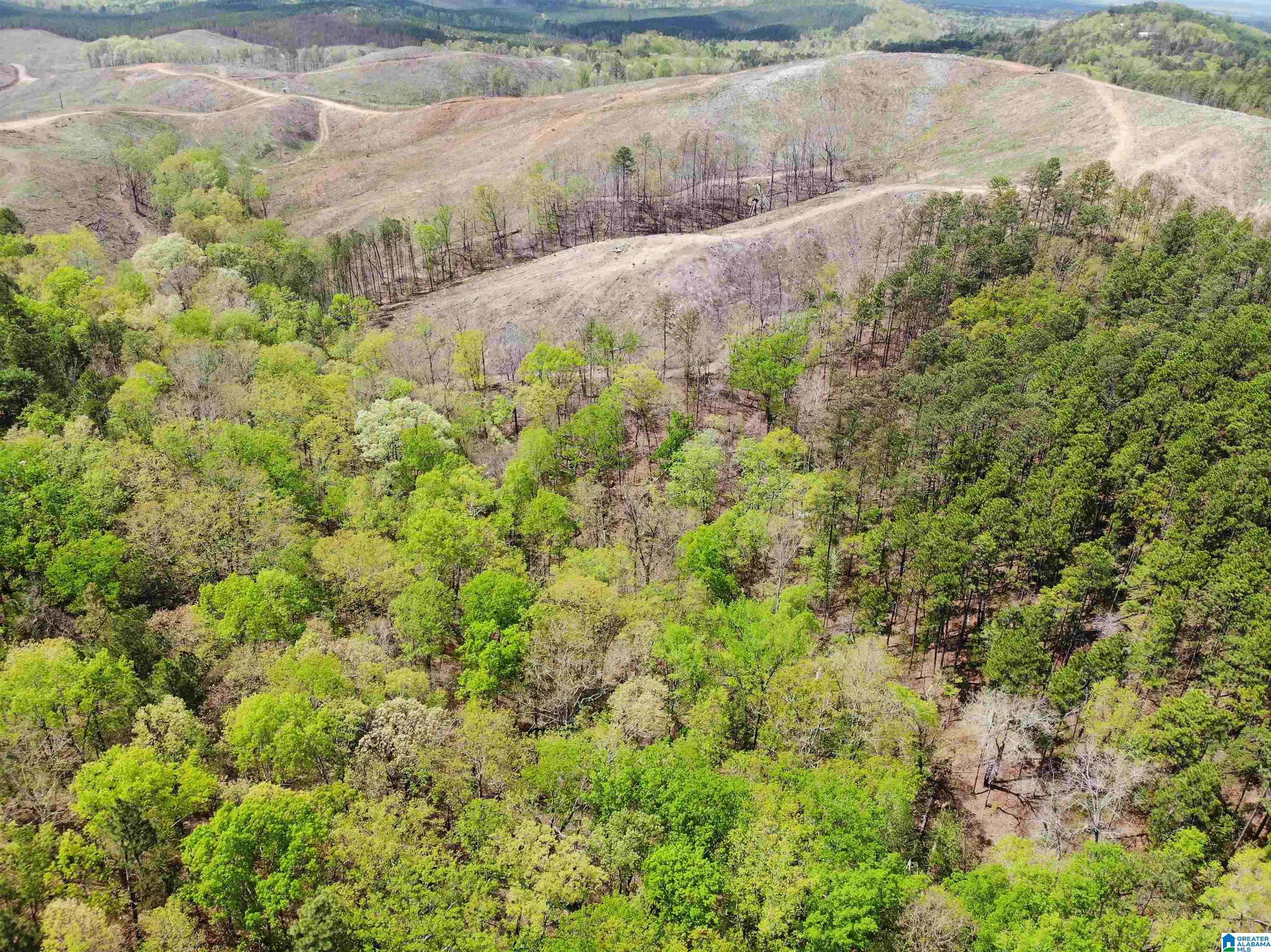 Childersburg, AL 35044,0 OLD SYLACAUGA HIGHWAY #0