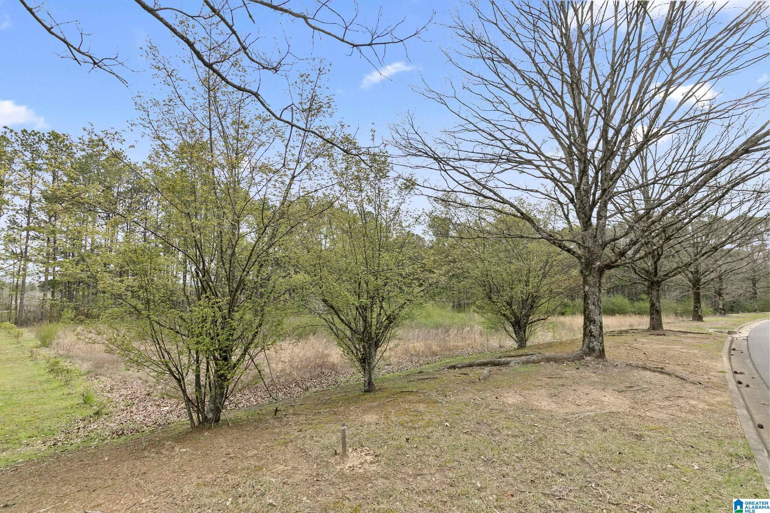 Hoover, AL 35244,1551 LAKE CYRUS CLUB DRIVE #12