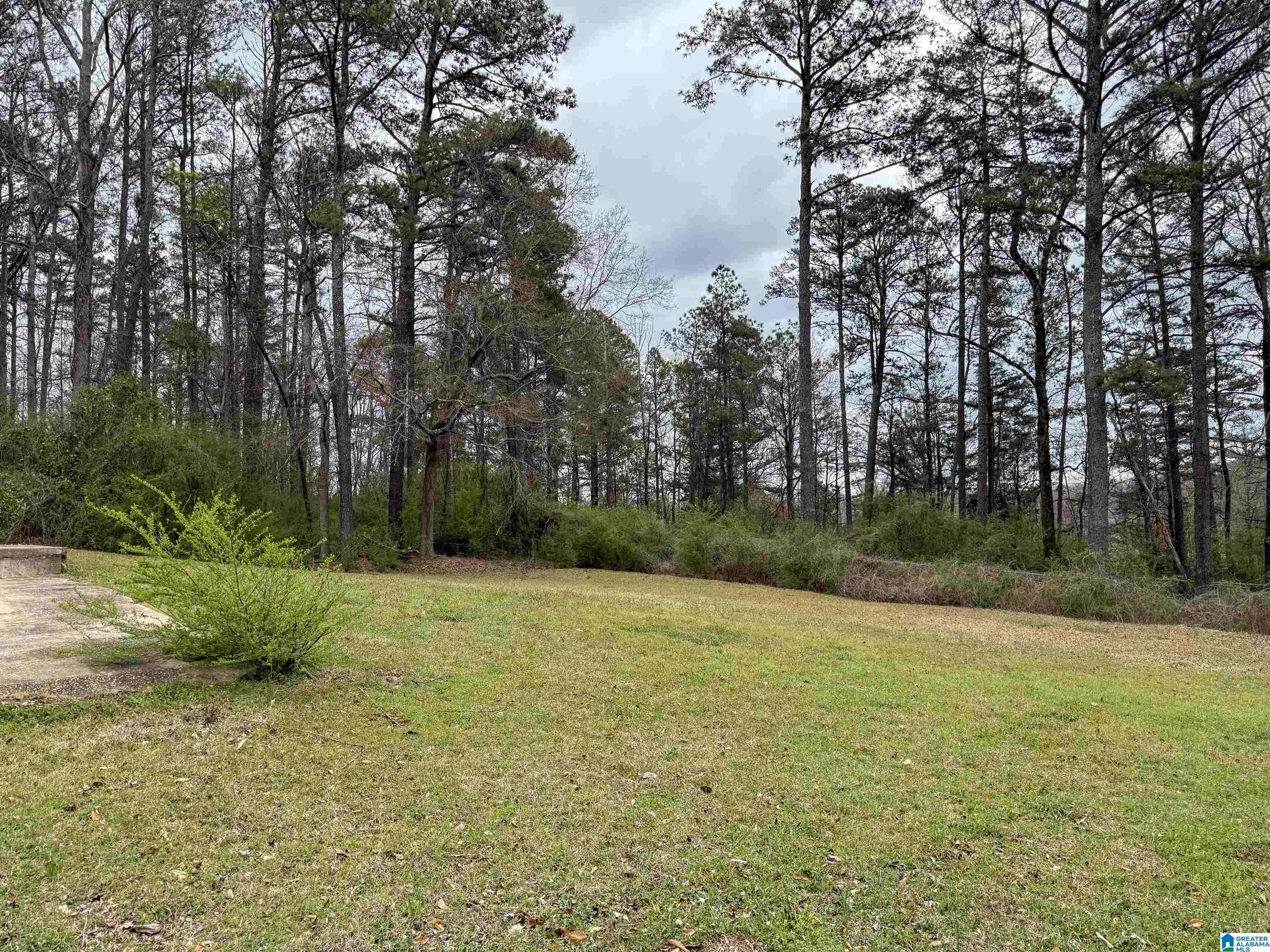 Trussville, AL 35173,210 WILDWOOD DRIVE #210
