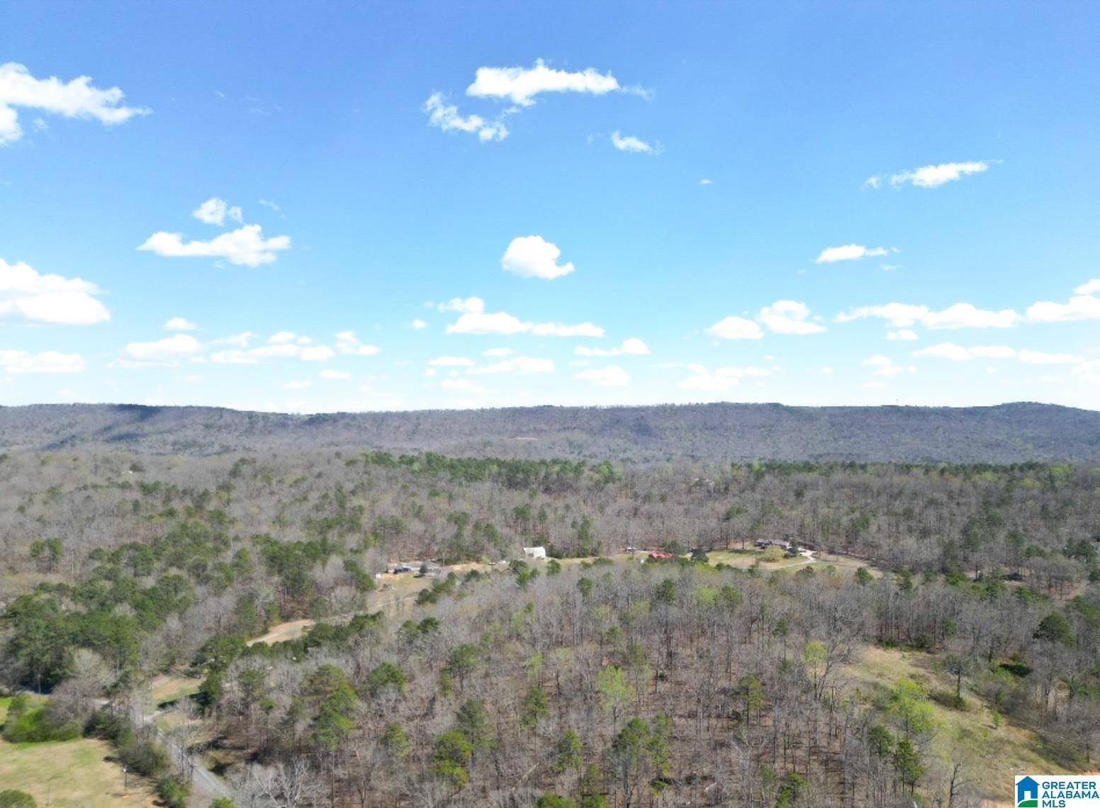 Remlap, AL 35133,1931 RED VALLEY ROAD