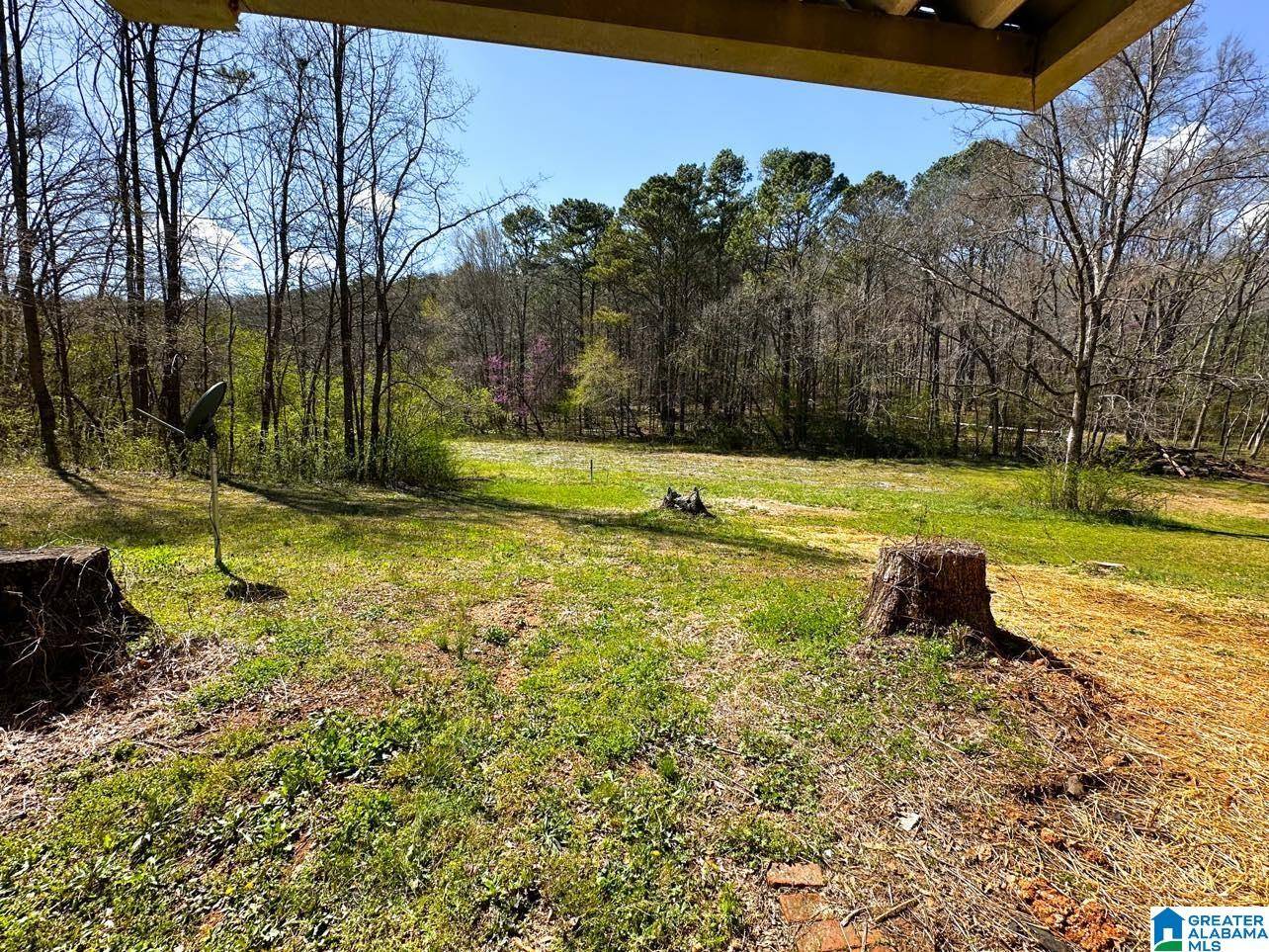Remlap, AL 35133,1931 RED VALLEY ROAD