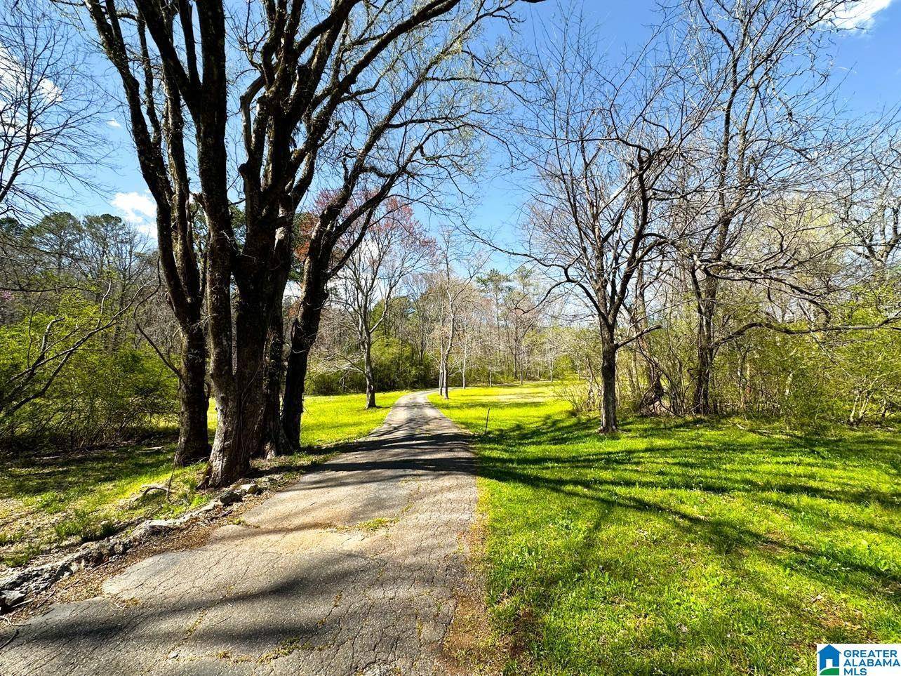 Remlap, AL 35133,1931 RED VALLEY ROAD