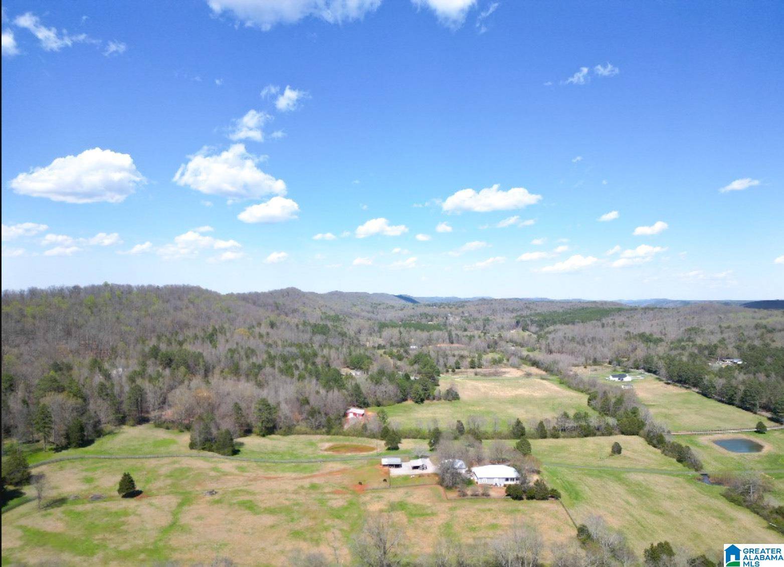 Remlap, AL 35133,1931 RED VALLEY ROAD