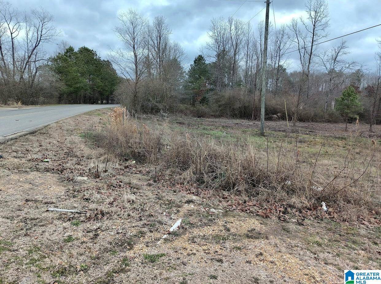 Nauvoo, AL 35578,6035 REDMILL SARAGOSSA ROAD #0