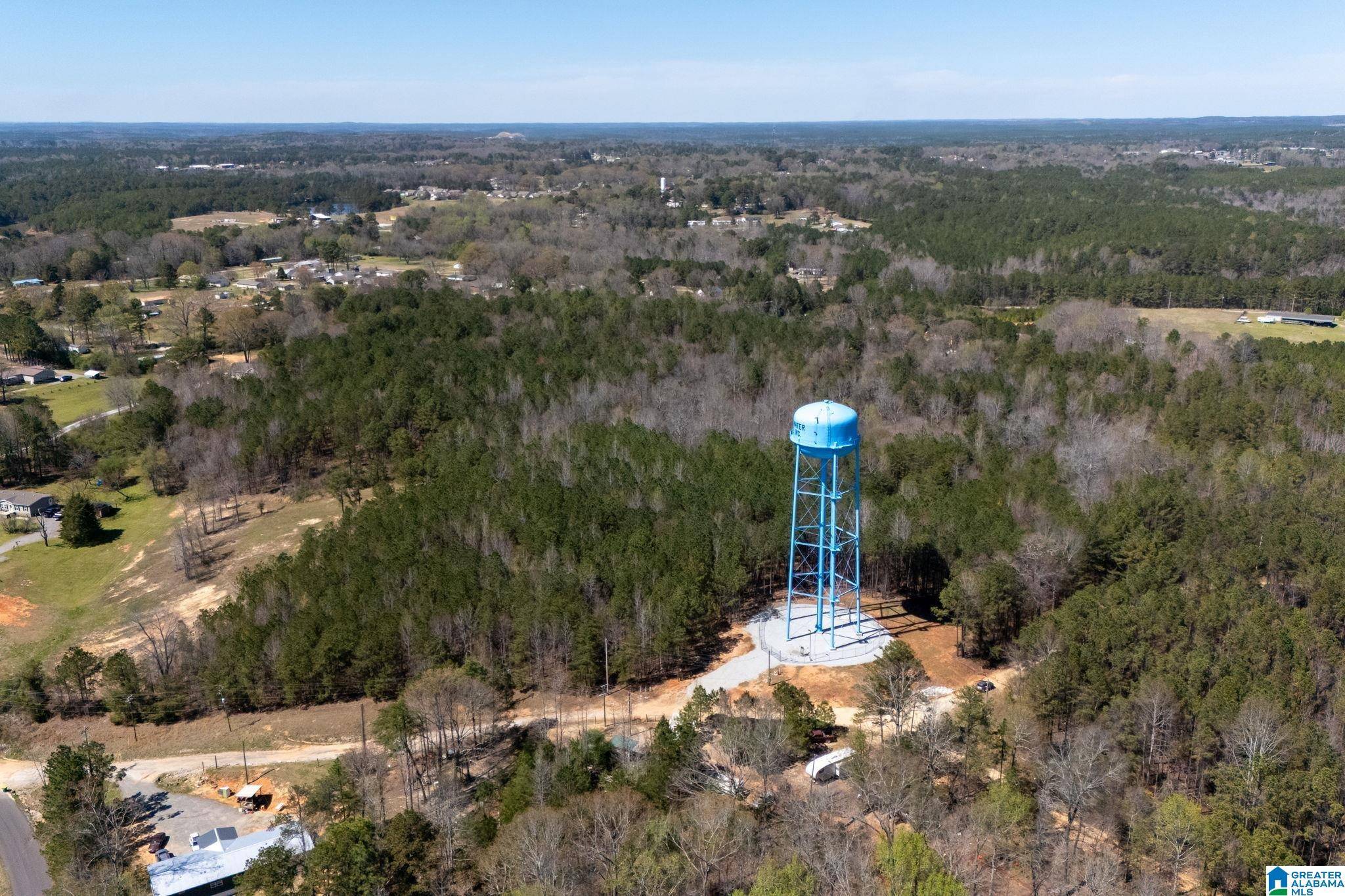 Brookwood, AL 35444,16082 HOUSE ROAD #195000