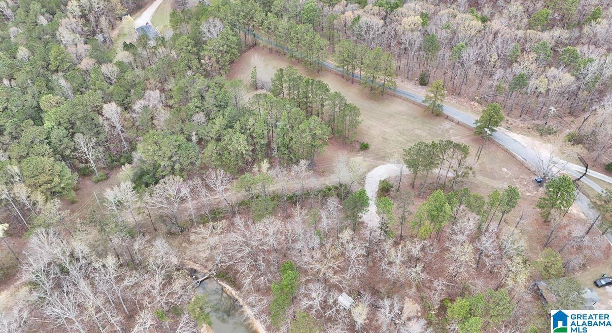 Vincent, AL 35178,0 FRANKIES ROAD #0