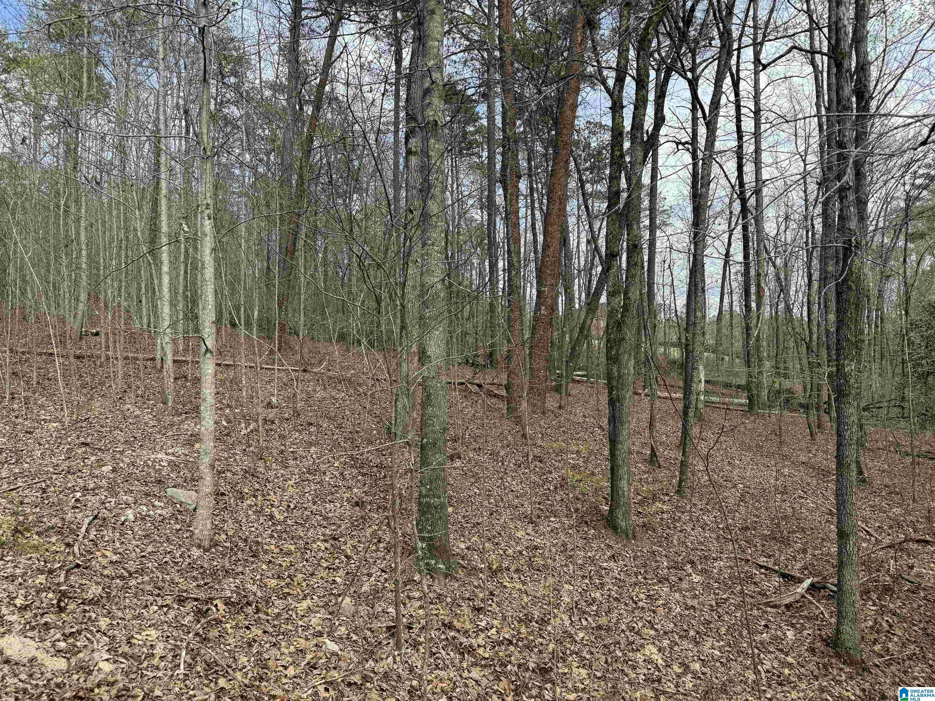 Columbiana, AL 35051,977 FERRY ROAD #2