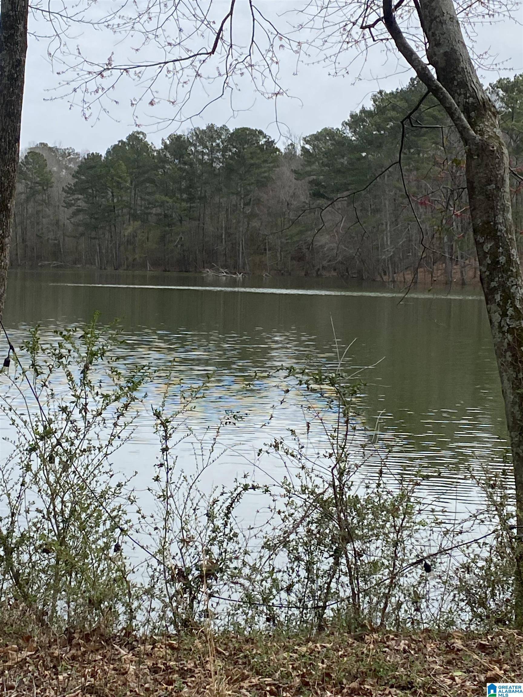 Trussville, AL 35173,4402 CAMP COLEMAN ROAD