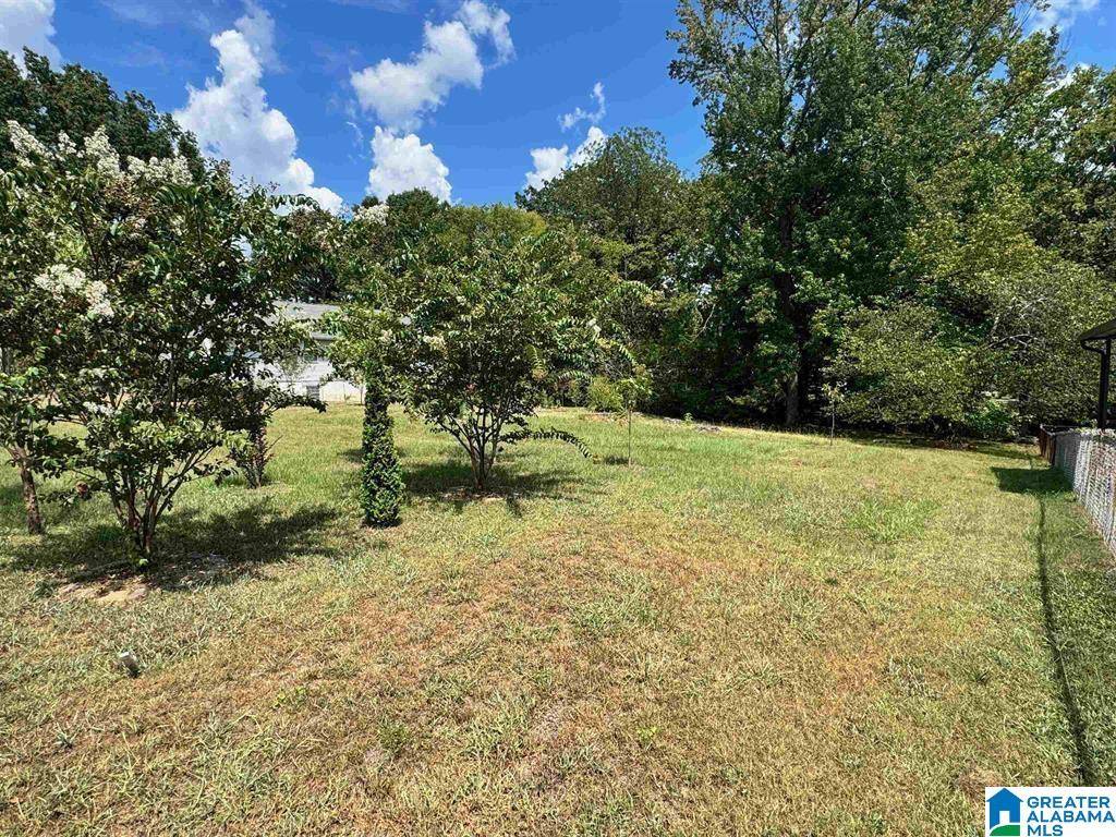 Gardendale, AL 35071,1031 MOUNT OLIVE AVENUE #17-18