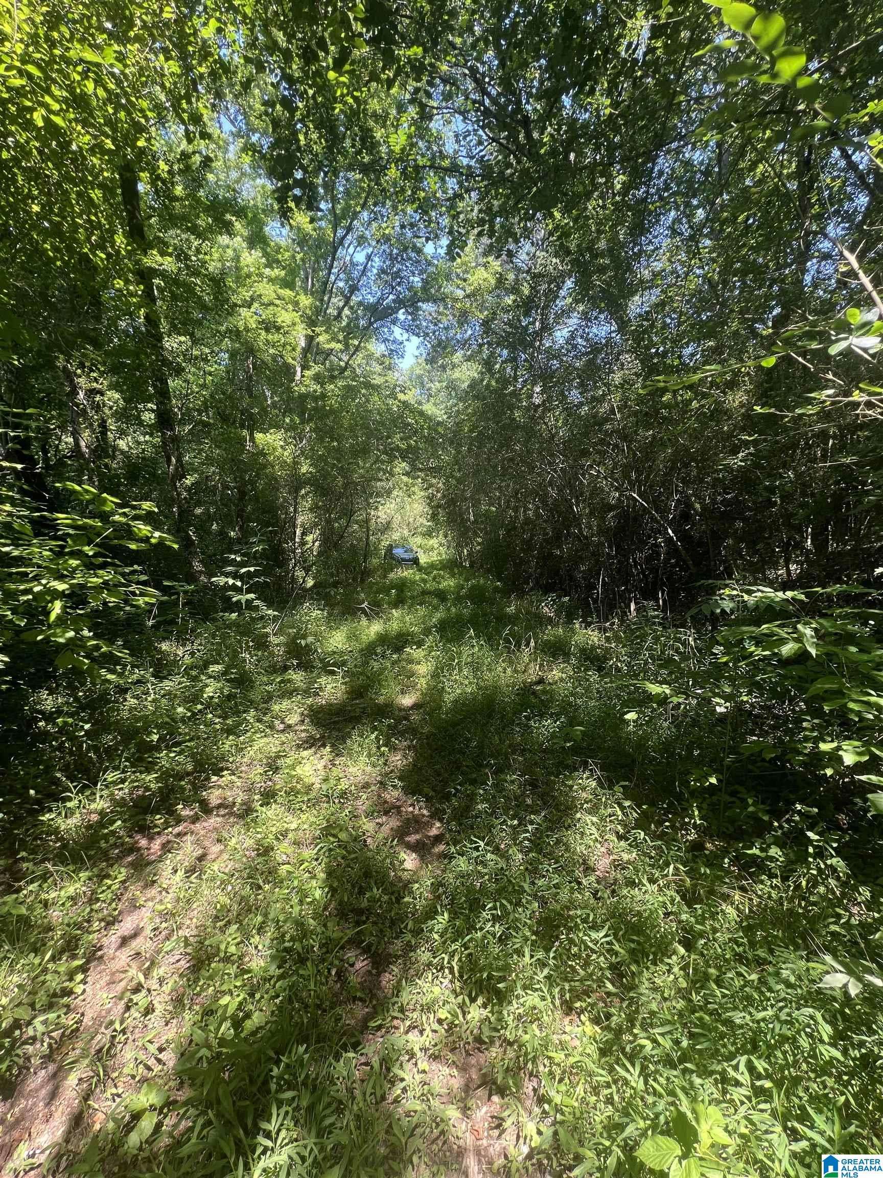 Quinton, AL 35130,0 BLOSSOM DRIVE #0