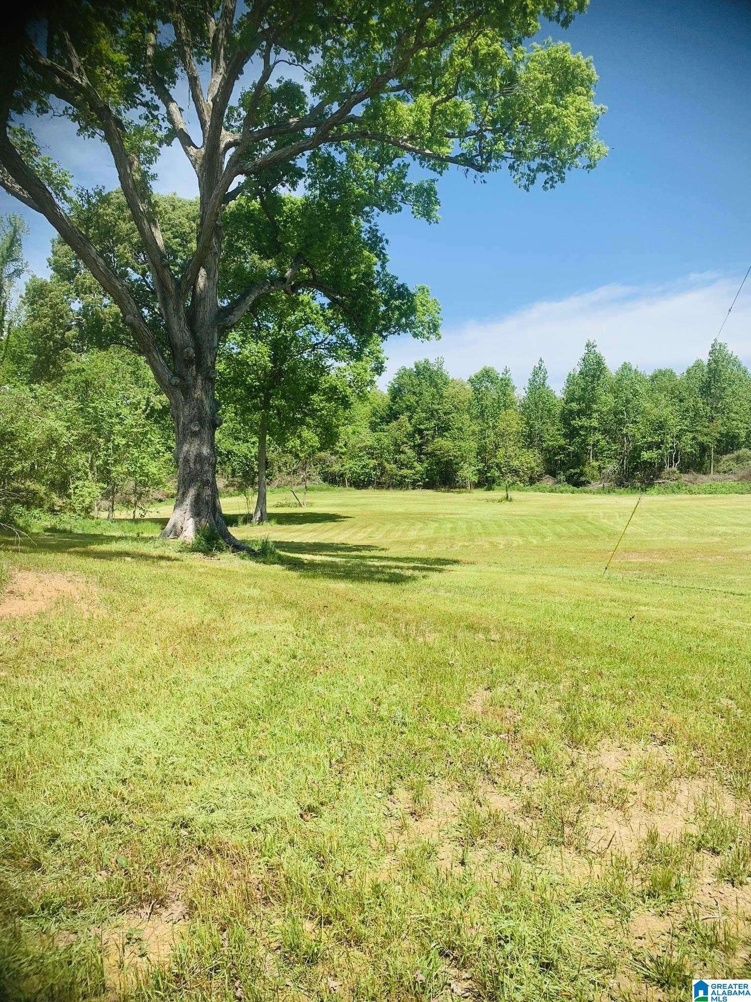 Heflin, AL 36264,3475 COUNTY ROAD 29 #0