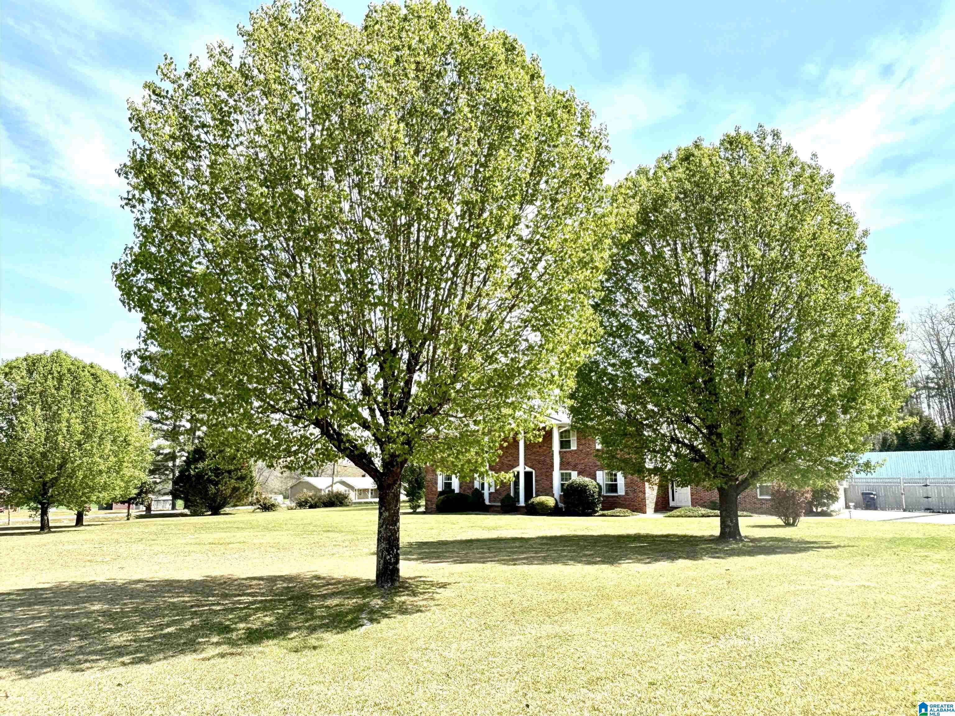 Jacksonville, AL 36265,20 MOUNTAIN DRIVE