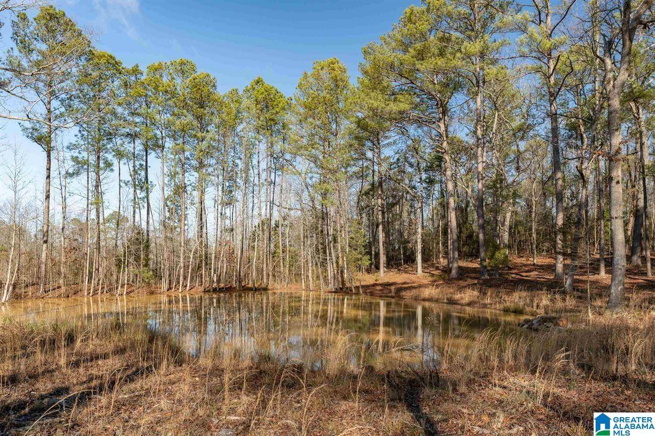 Oxford, AL 36268,510 COBB ROAD #N/A
