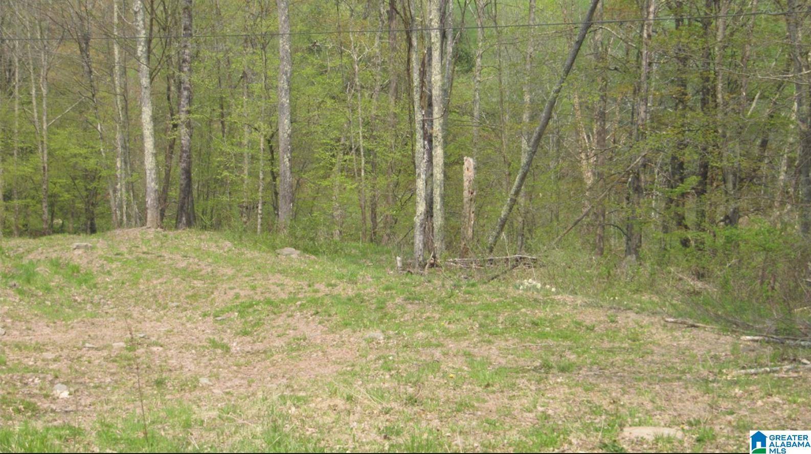 Columbiana, AL 35051,1361 ALSTON FARM ROAD #1