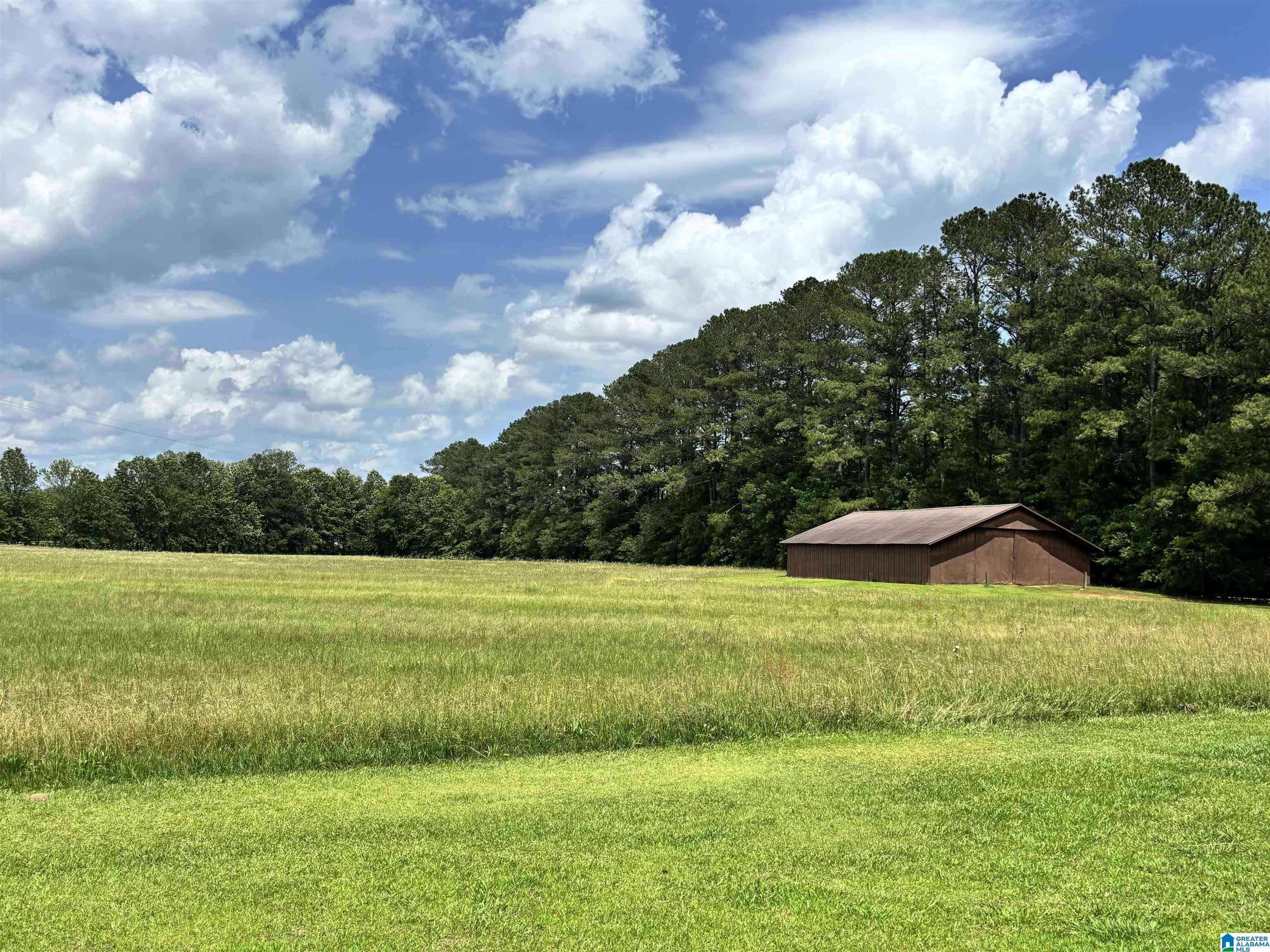 Wilsonville, AL 35186,16414 HIGHWAY 61